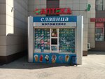 Славица (ulitsa Tvardovskogo, 10А), ice cream