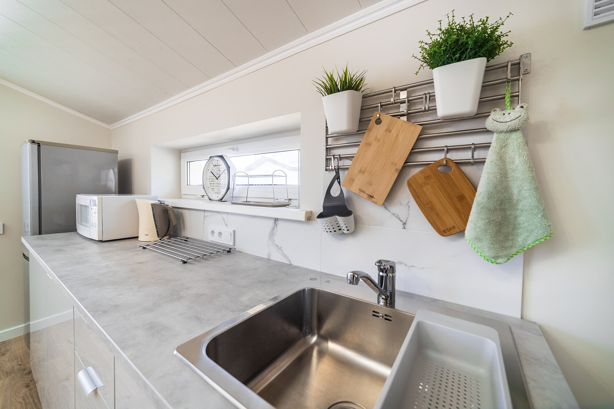 Фото Абрикос