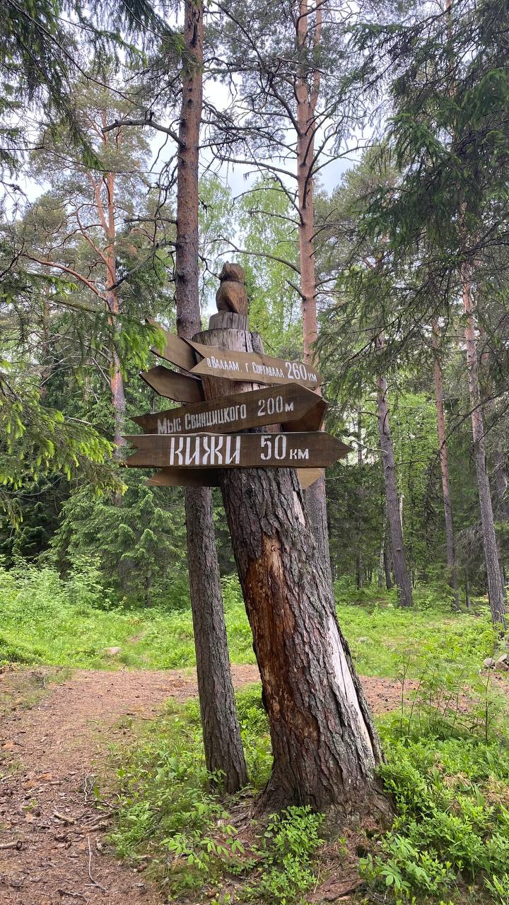 Фото Серебро Онеги