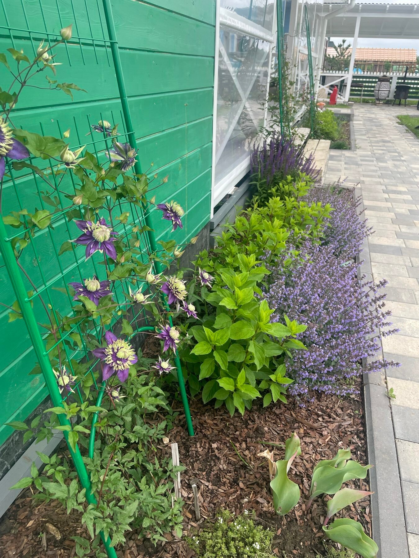 Фото Зеленая дача