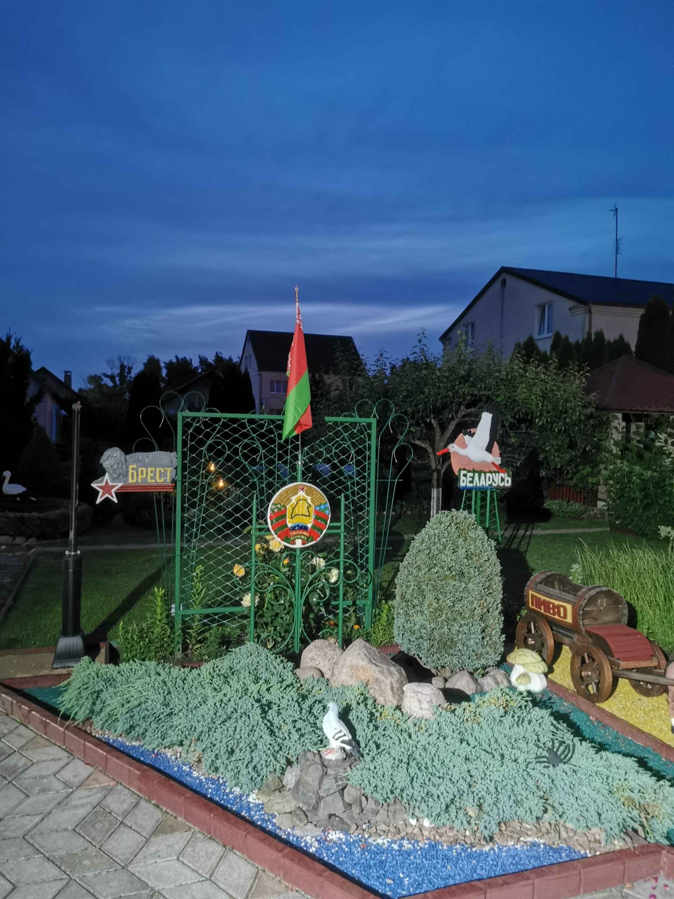 Фото Звезда