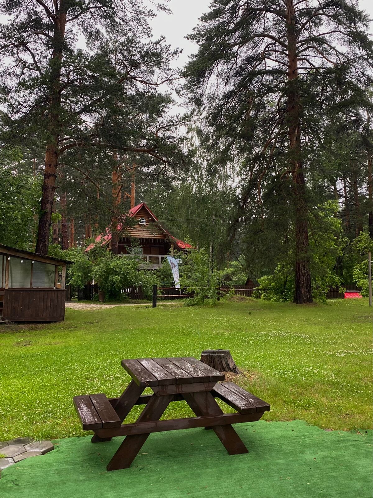 Фото Дача в соснах