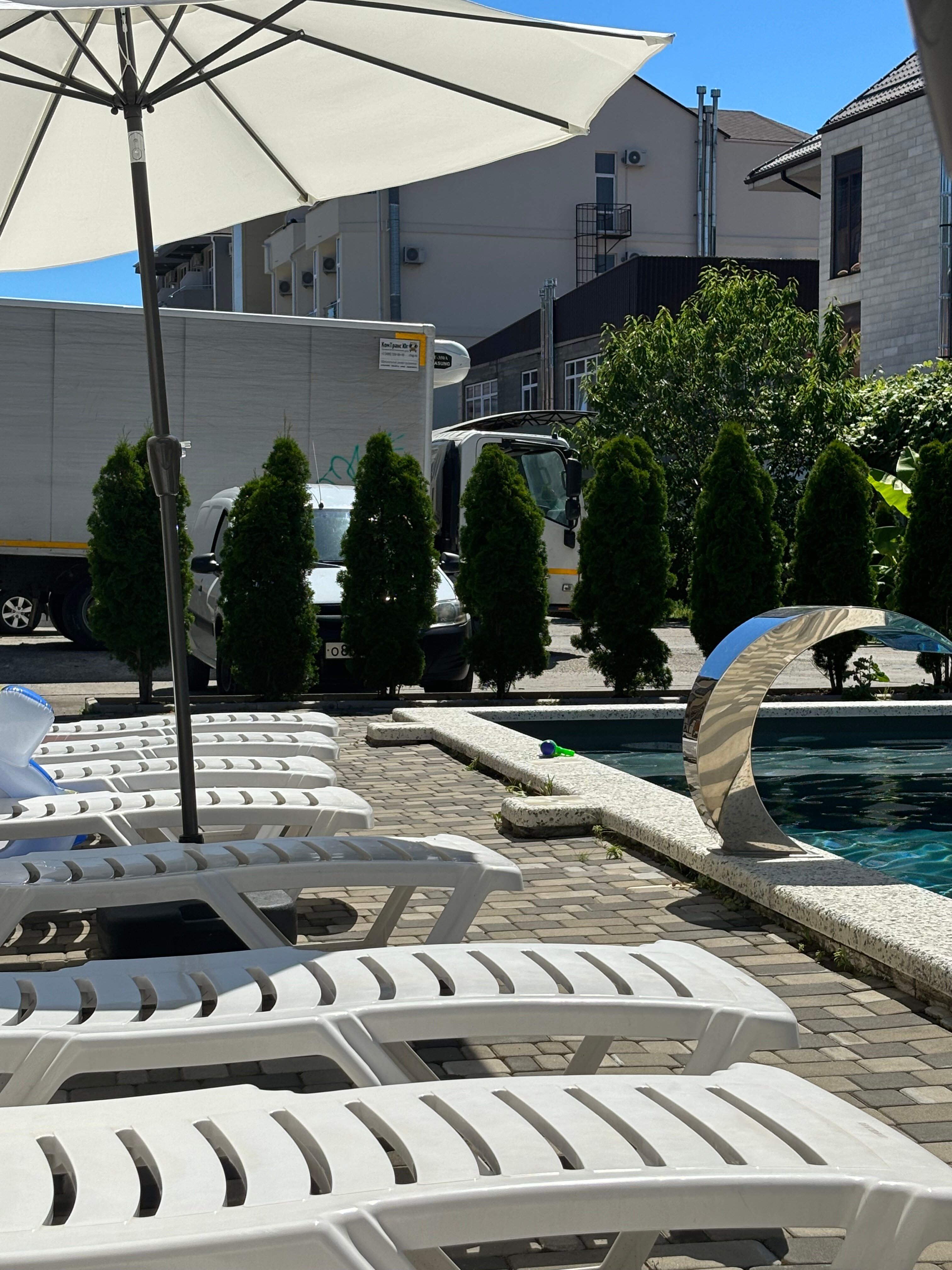 Фото Афалина+