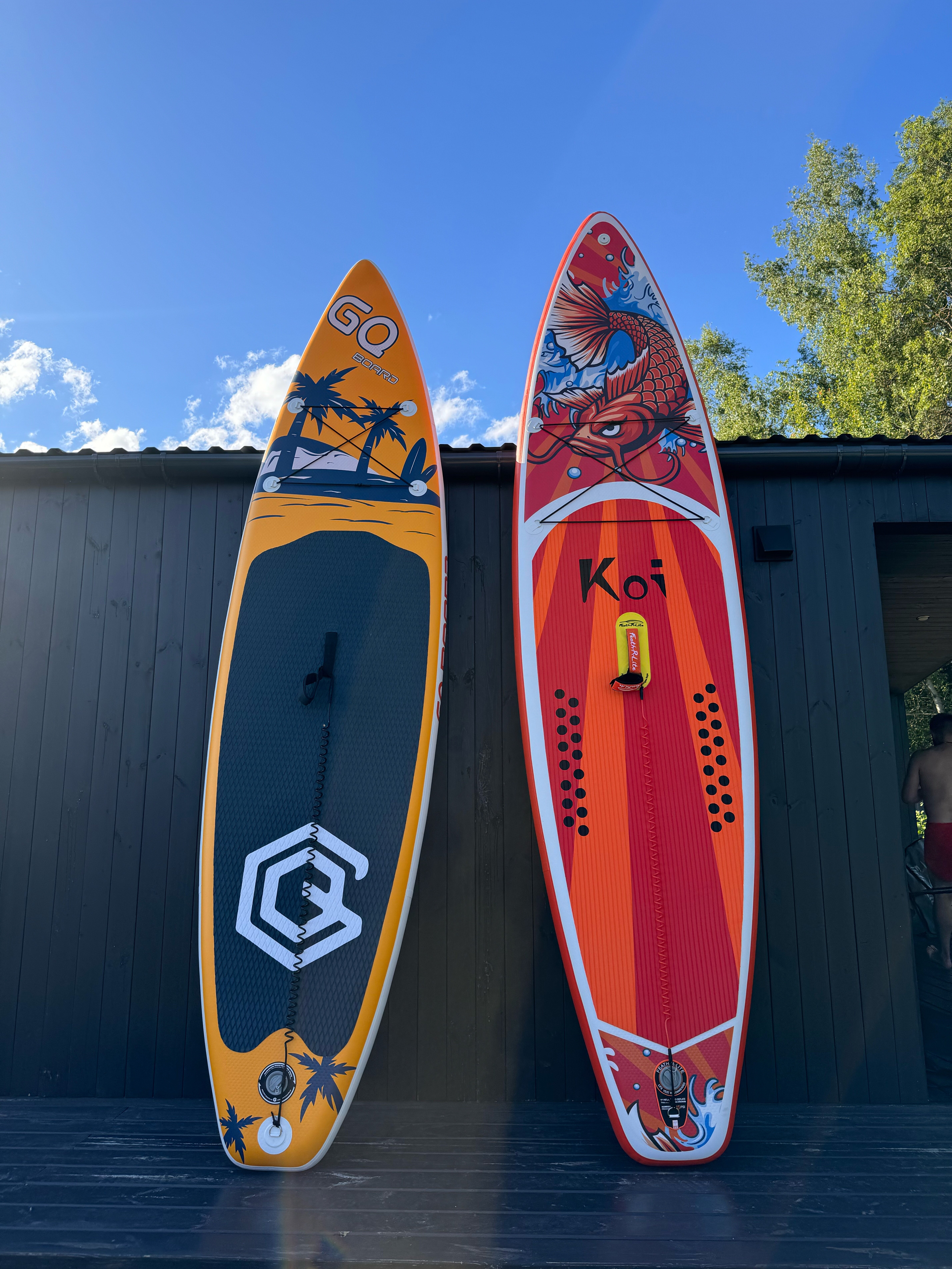 Фото Лес да Вода