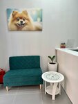 Star City (Almatinskaya ulitsa, 4), salón de mascota, peluquería de animales