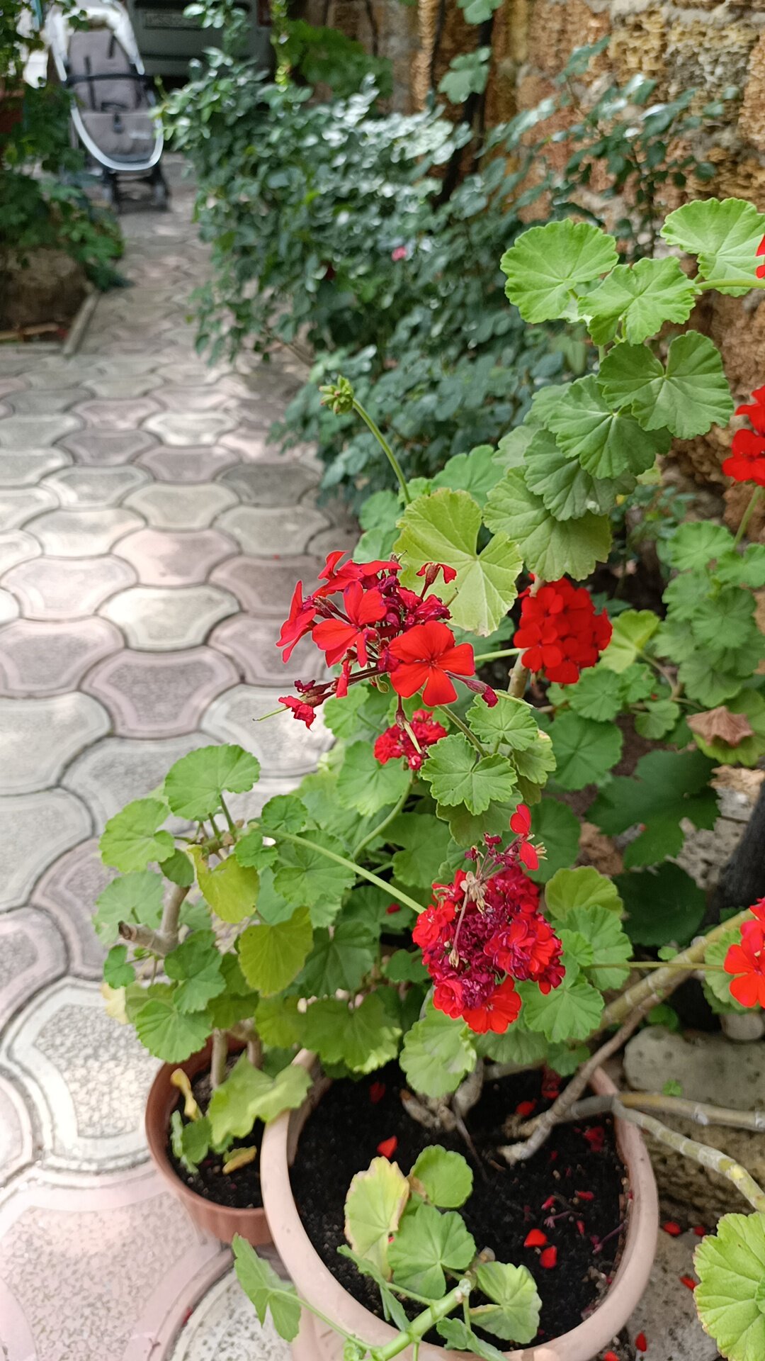 Фото Летний дом Сивэй