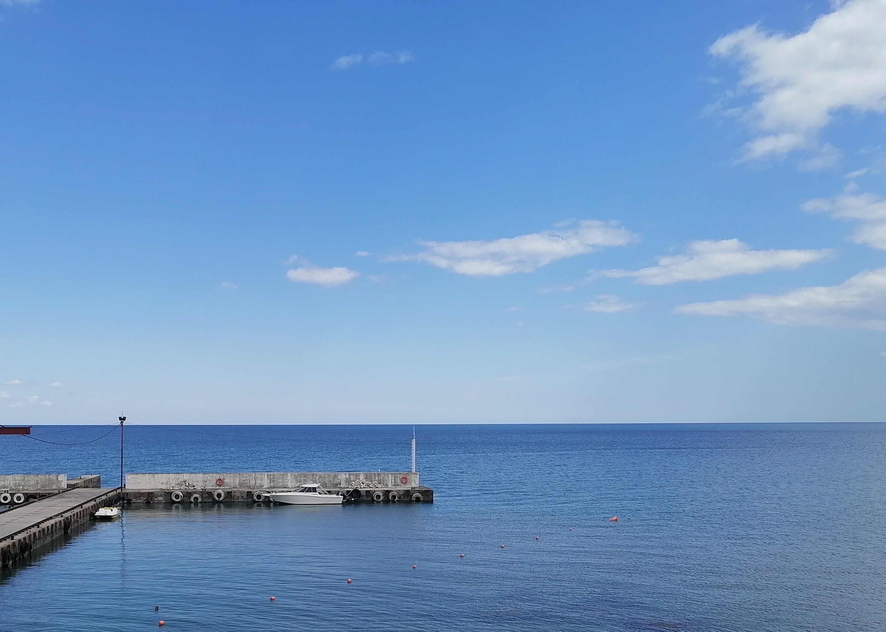 Фото Эллинг у Зои