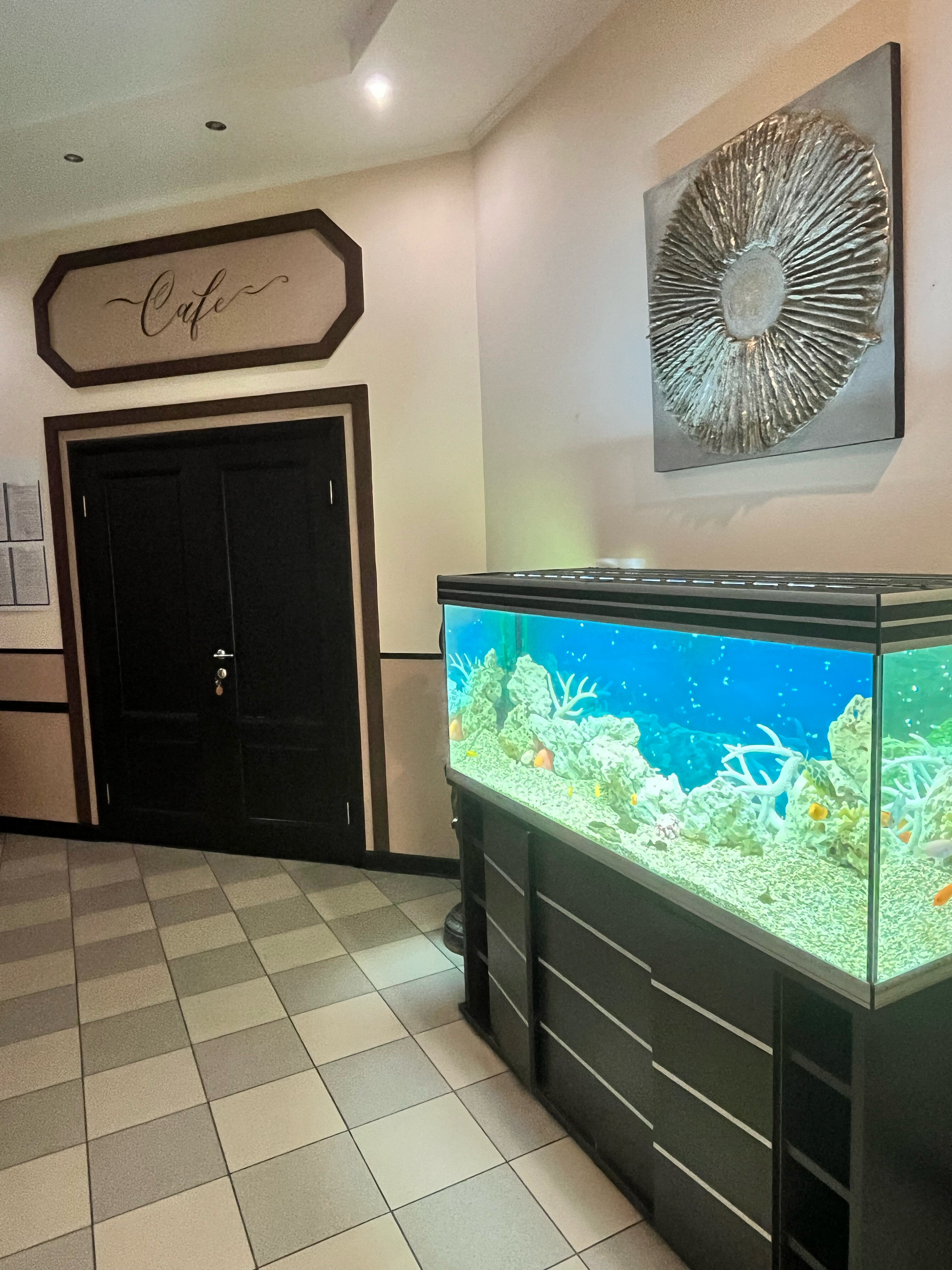 Фото Акварель