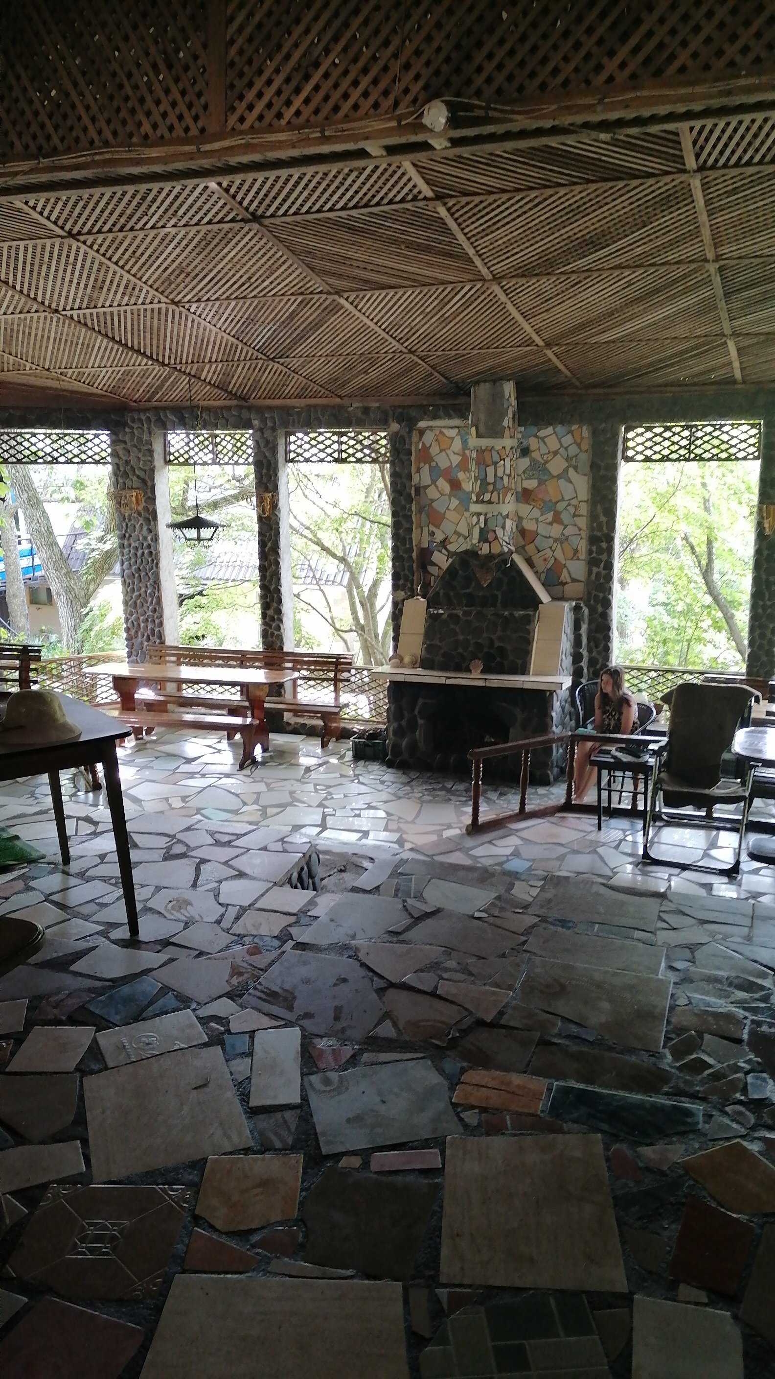 Фото Дельфин