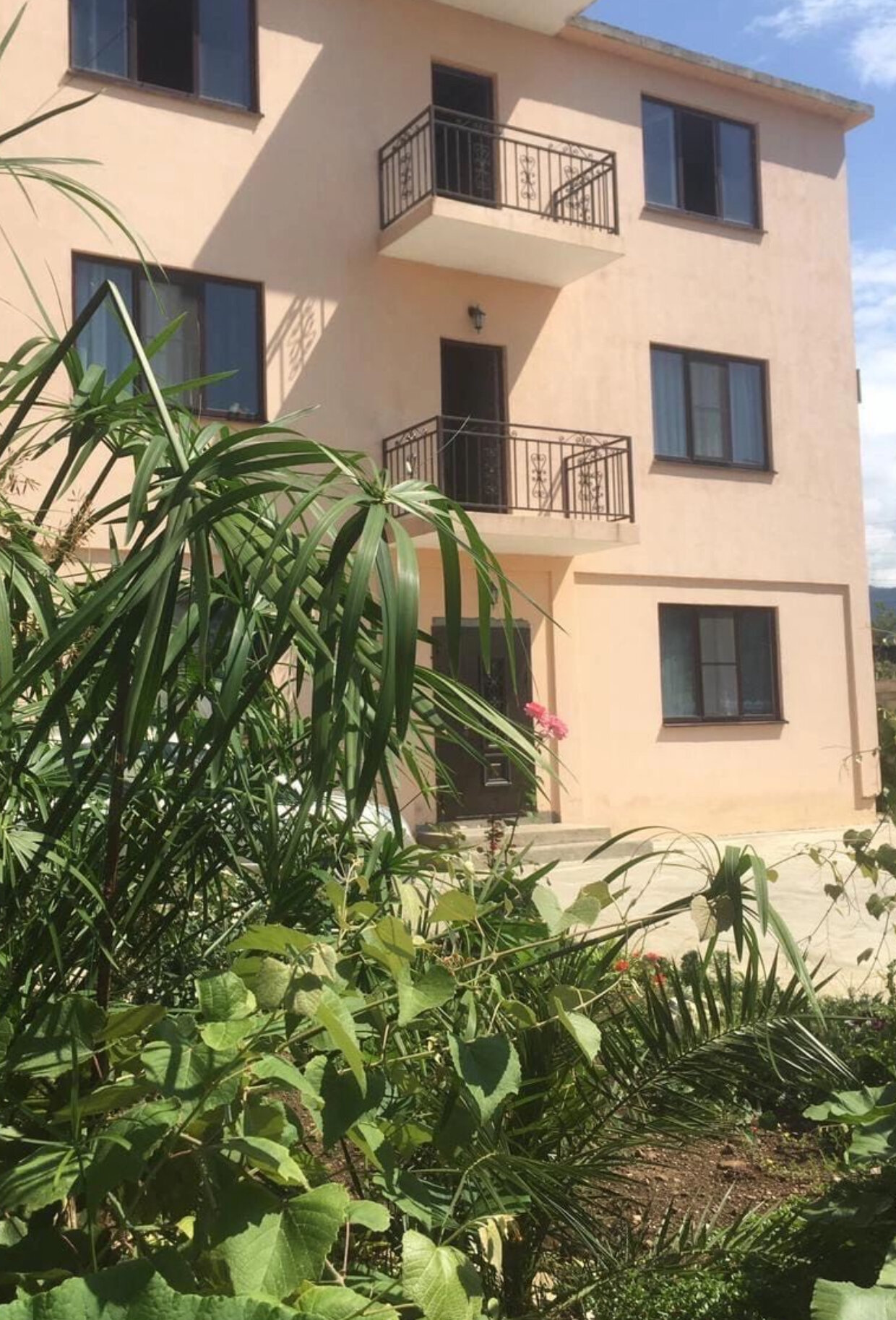 Фото Лантана