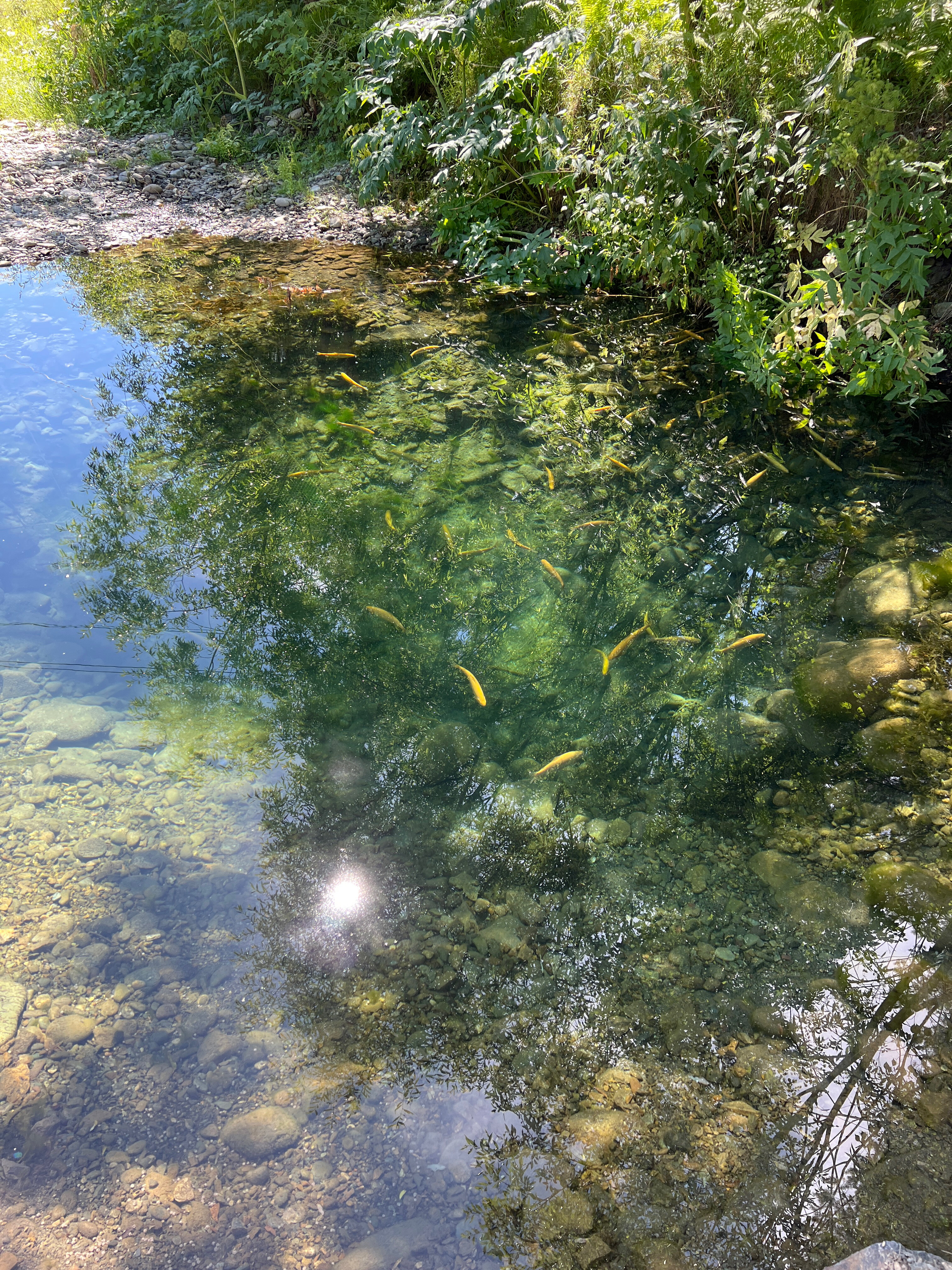 Фото Эко-парк Алтай Грин