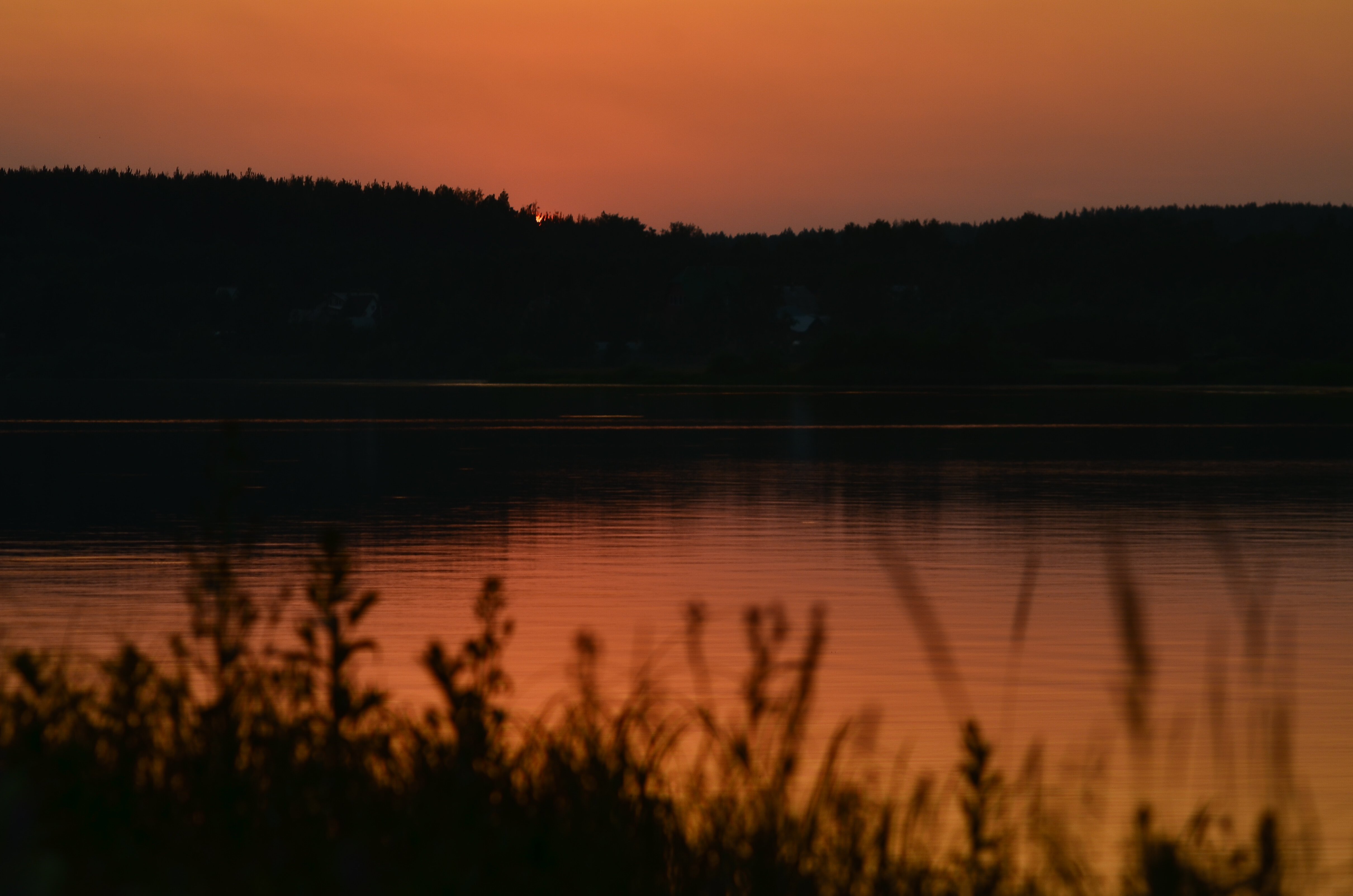 Фото Лестория