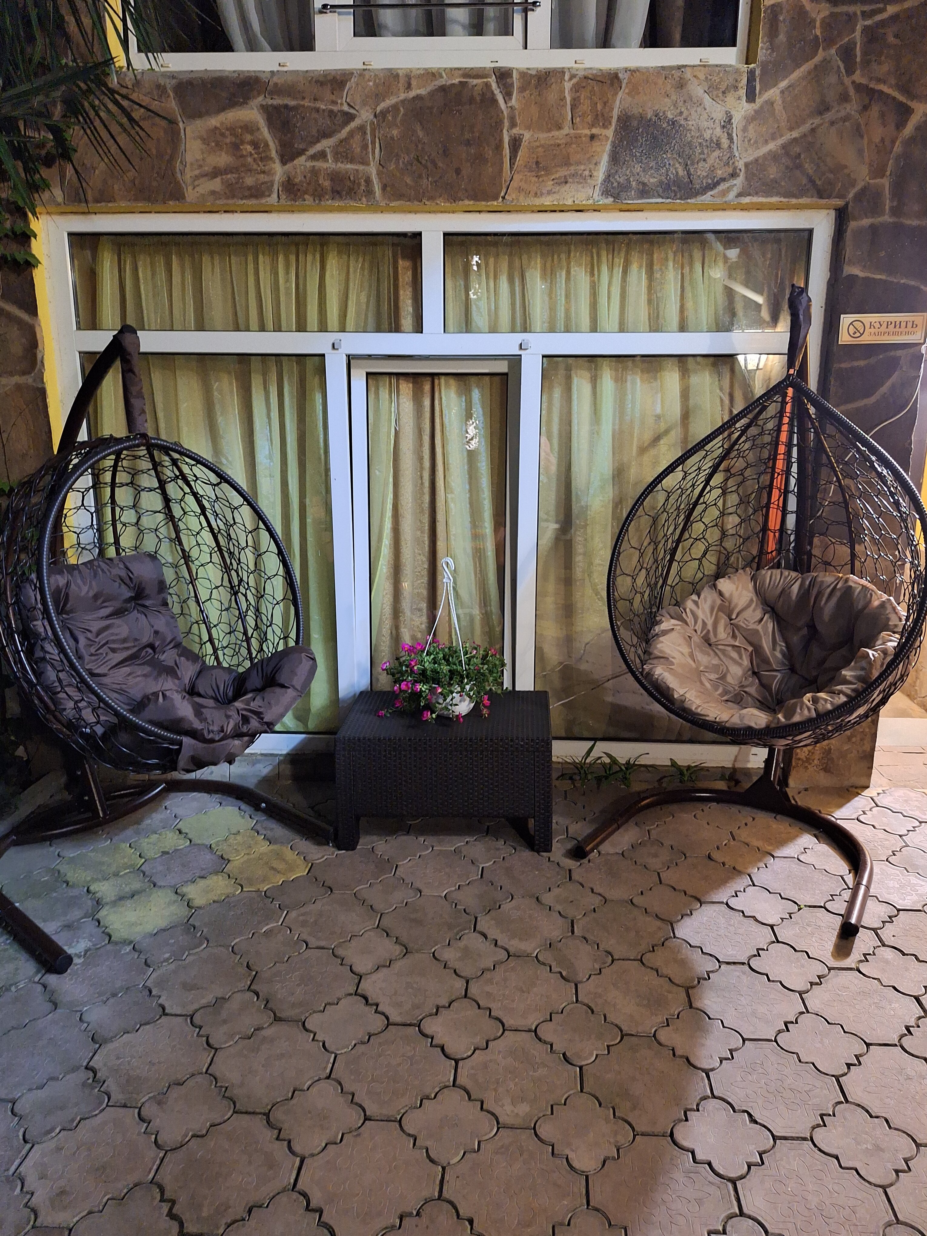 Фото Папайя