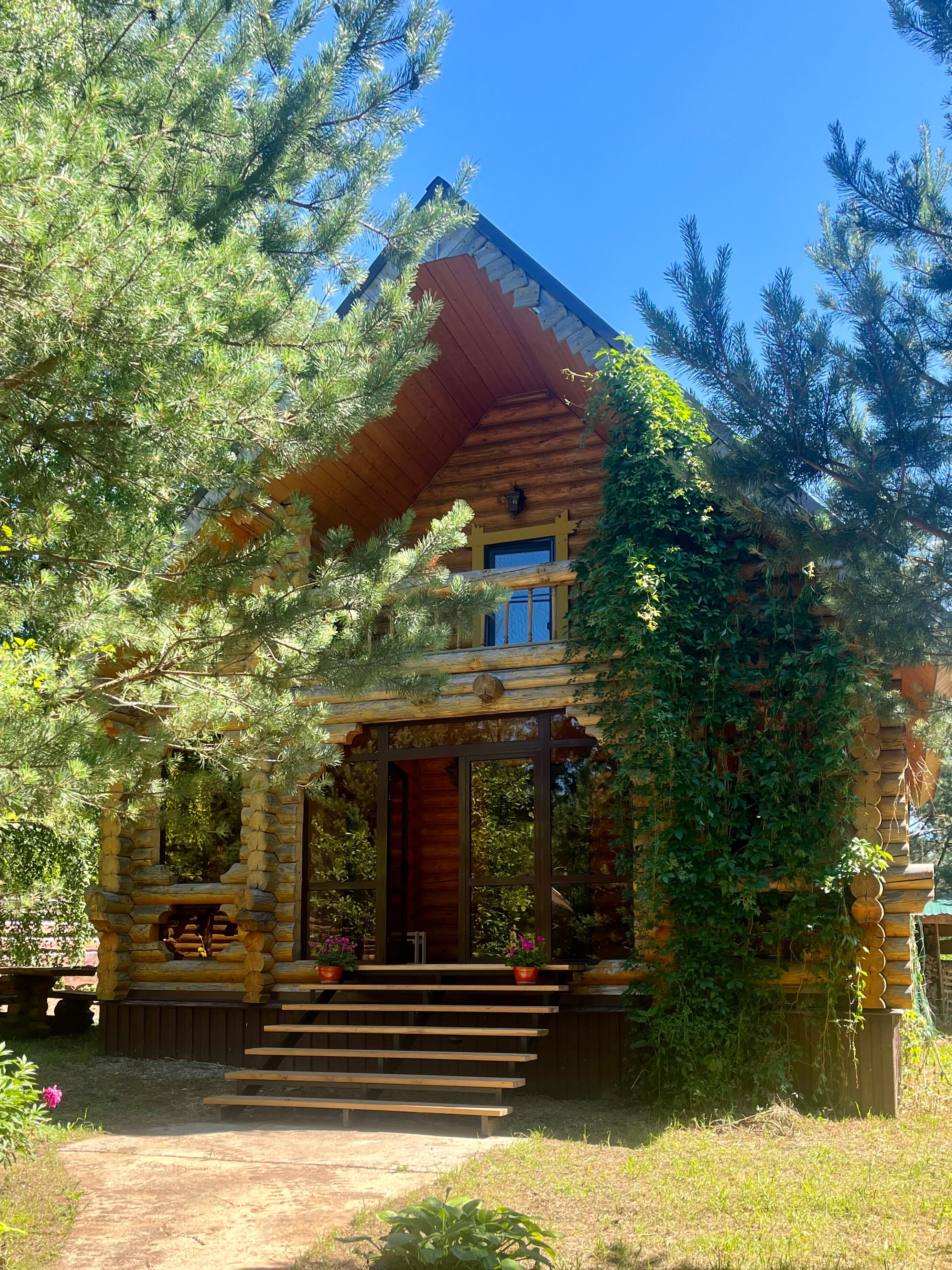 Фото Белая Морошка