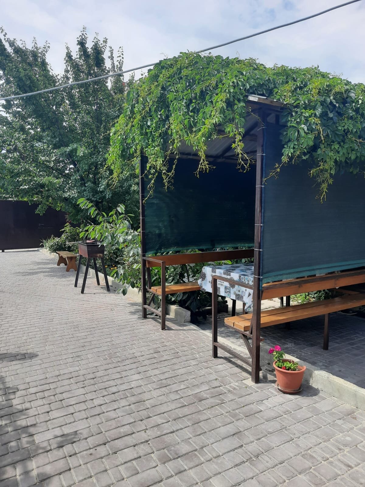 Фото Фортуна