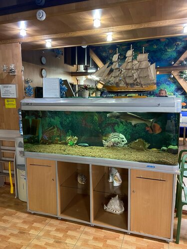 Гостиница Euro в Новосибирске