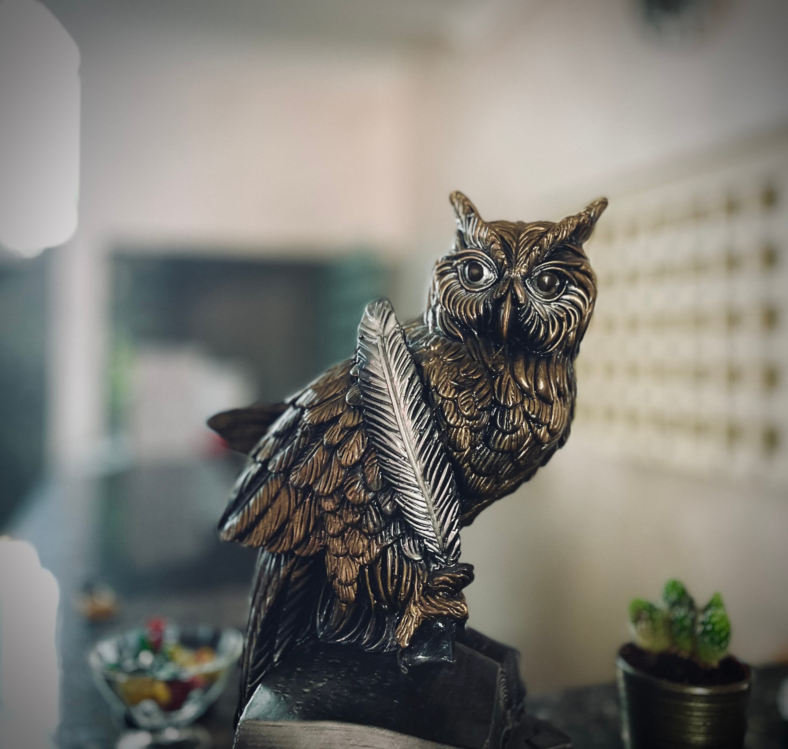 Фото Сова Беседы