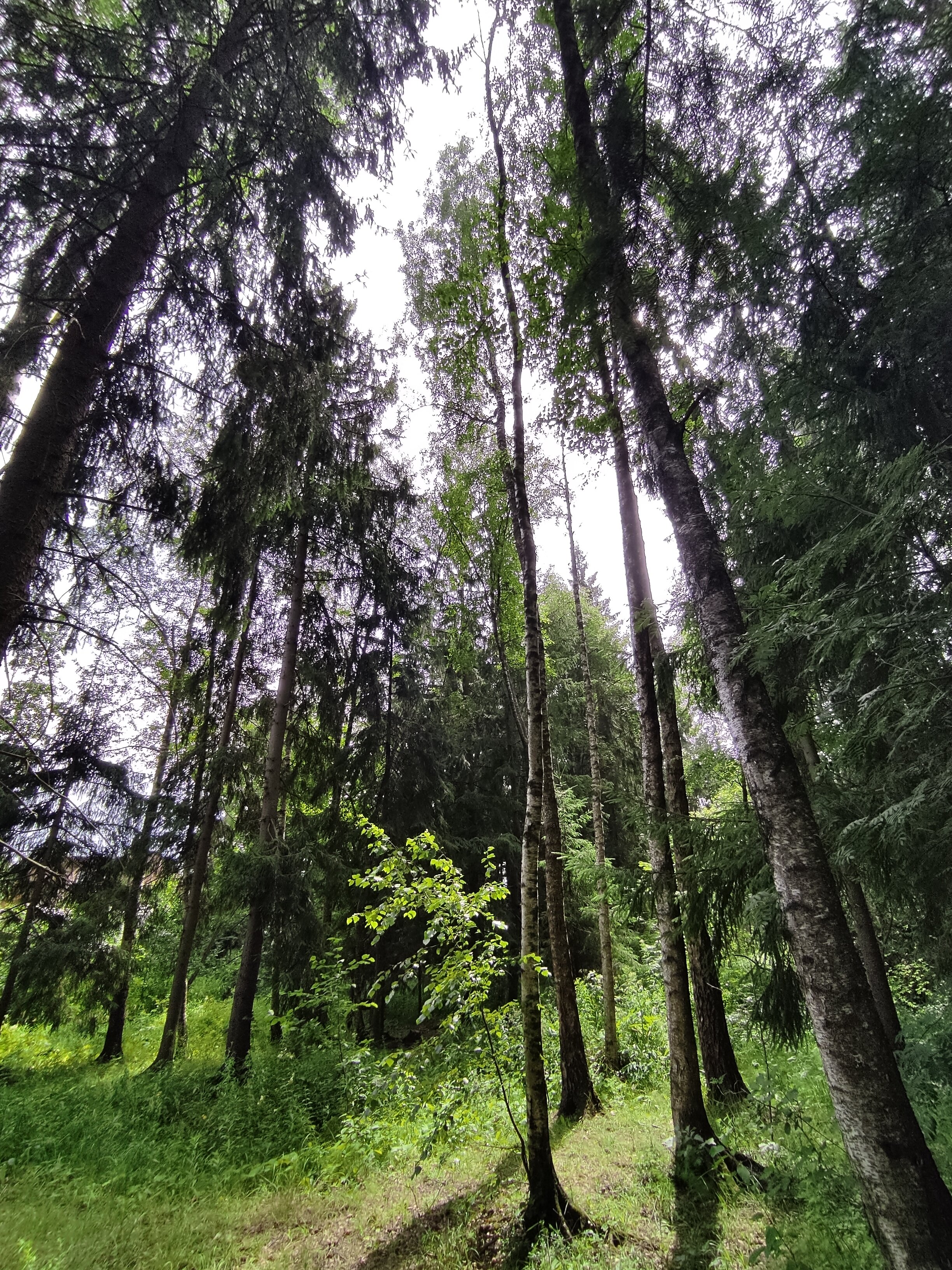 Фото Таймлесс