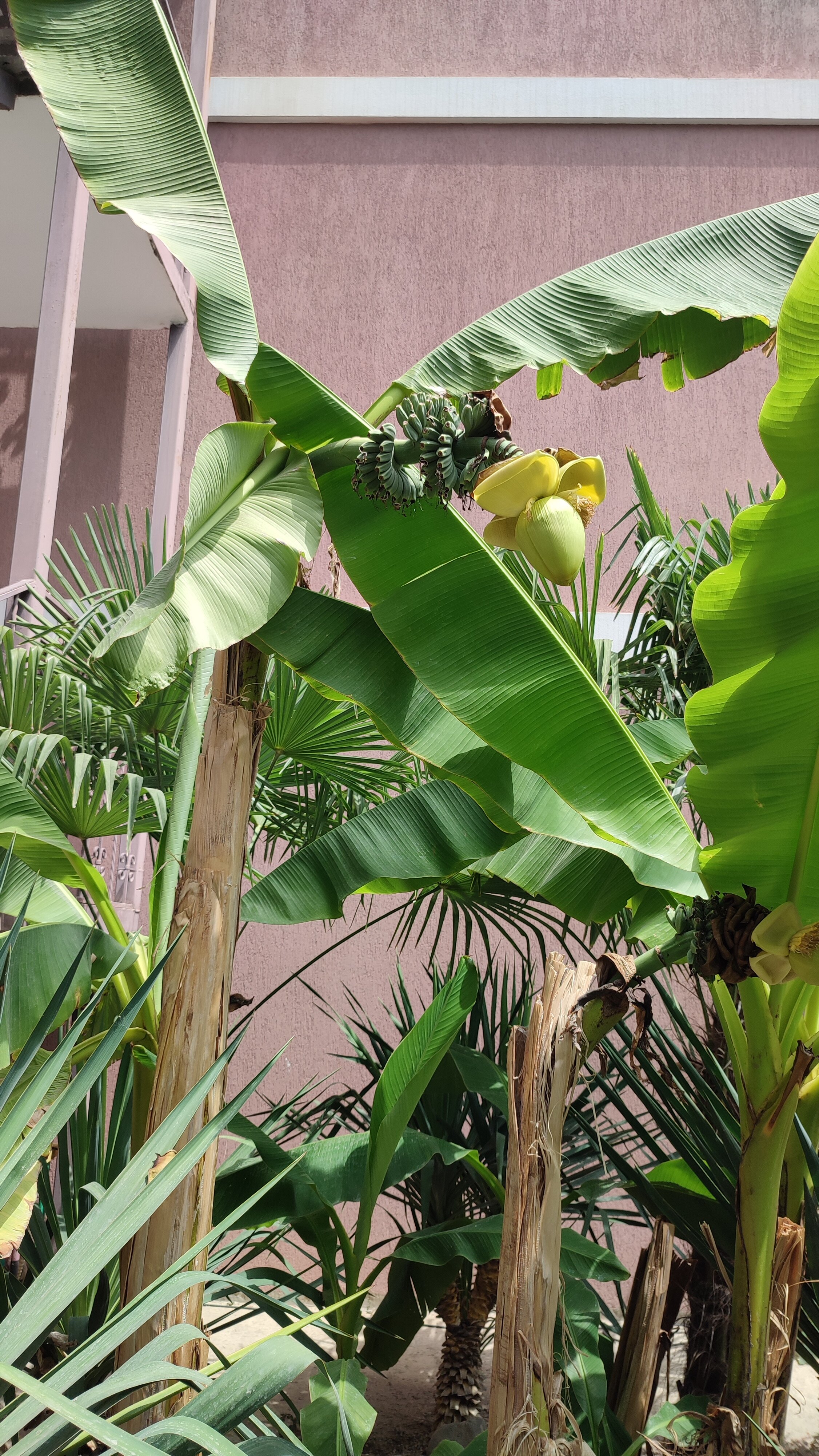 Фото Аква Бриз