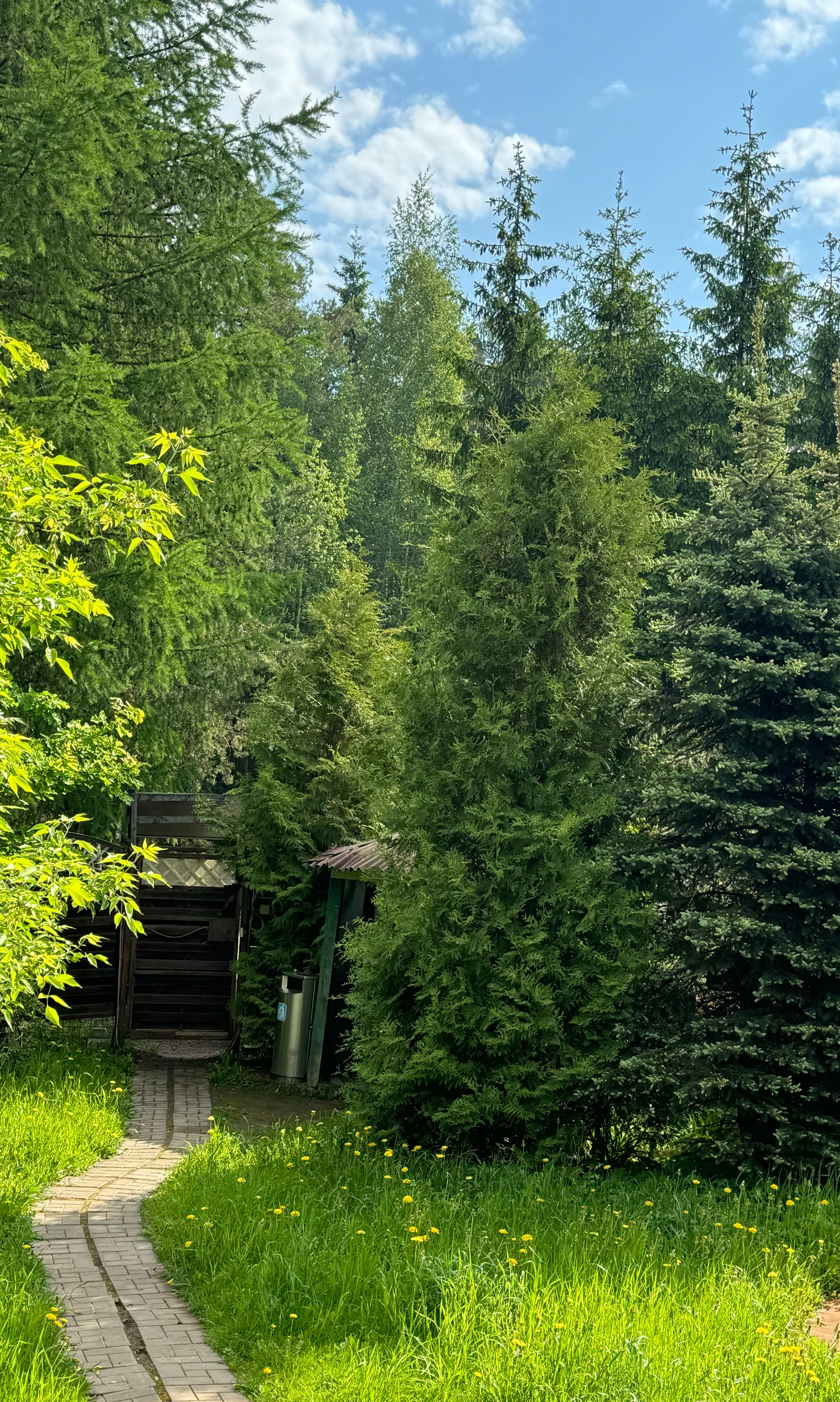 Фото Викинг