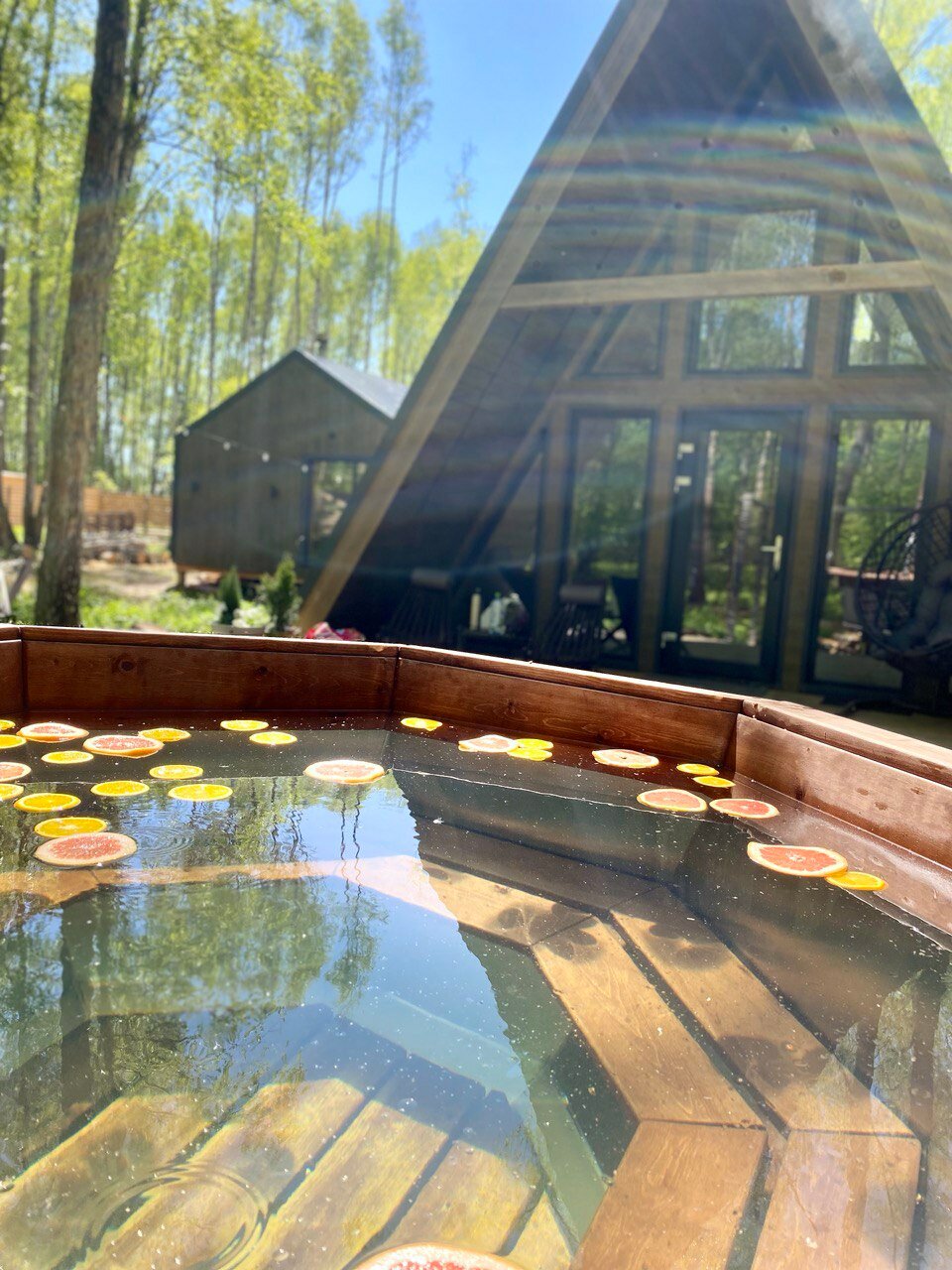 Фото Forest Glamp