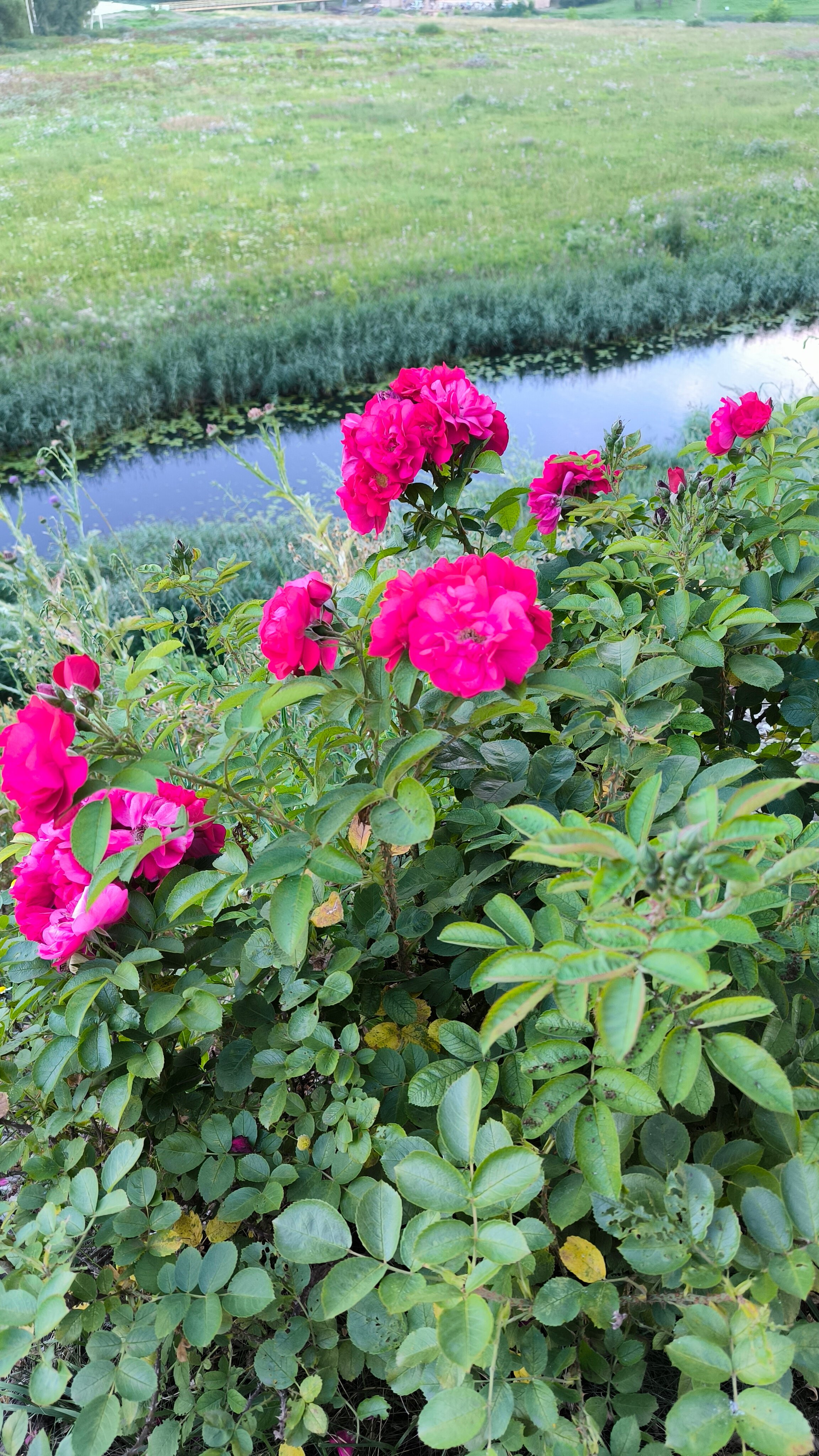 Фото Усадьба на Спасской