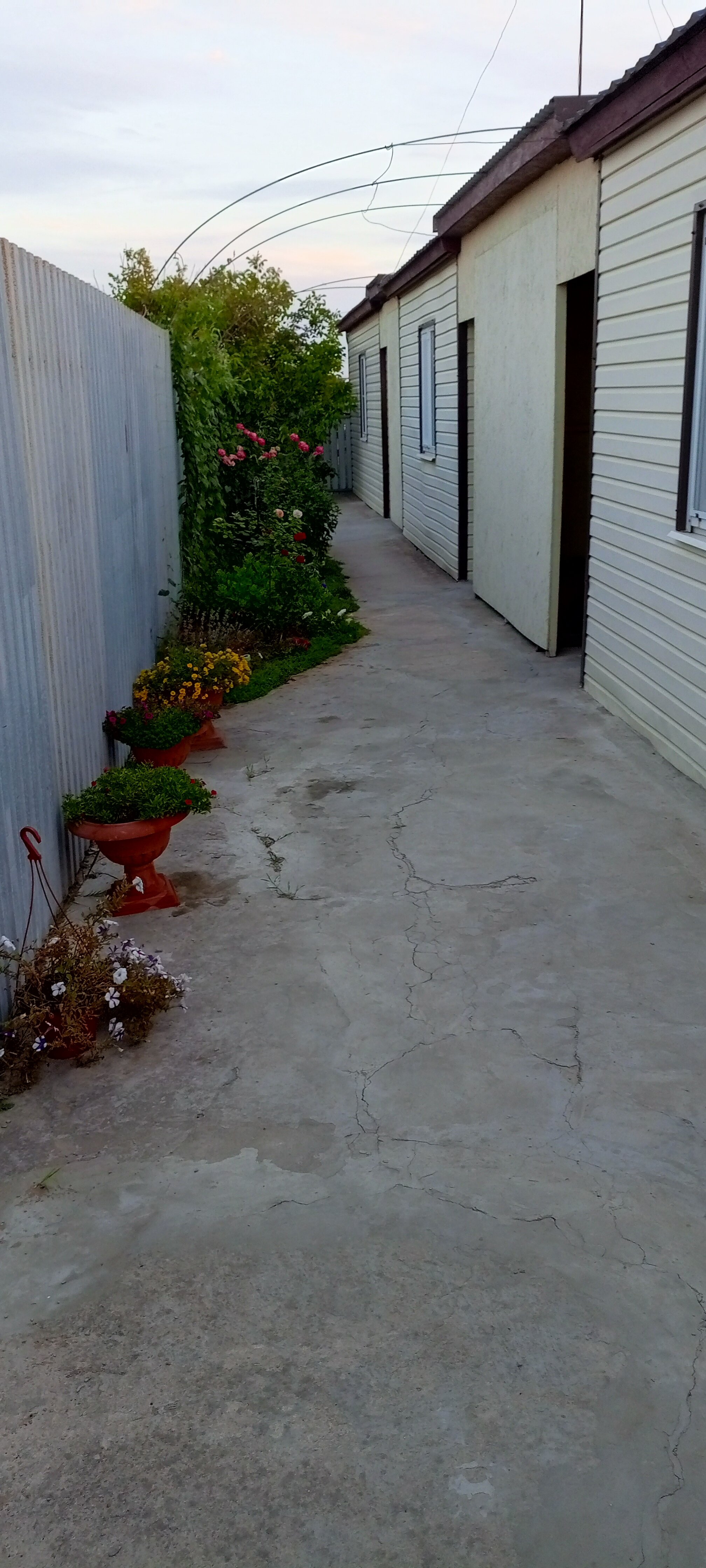 Фото На берегу