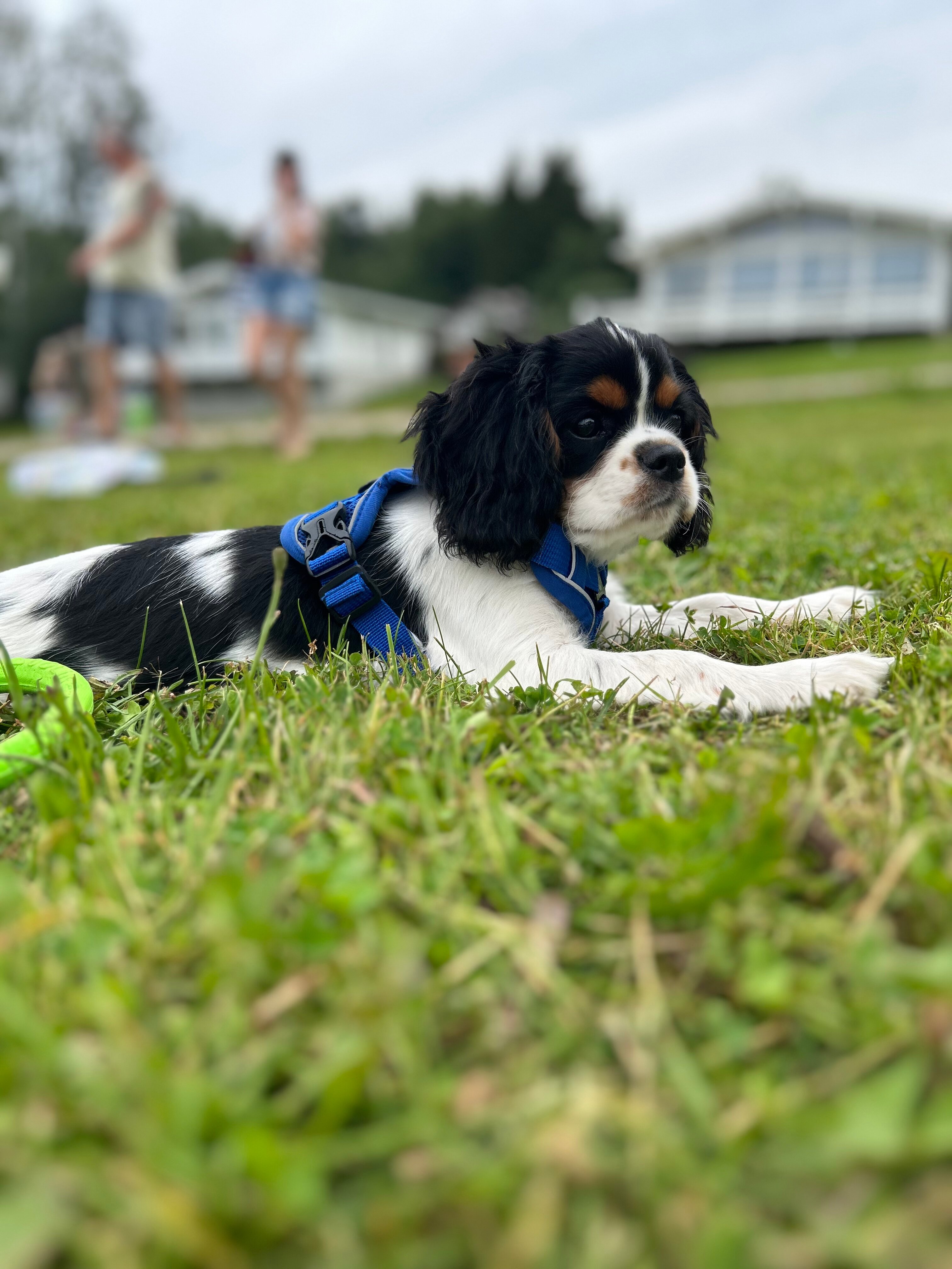 Фото Лайфклаб