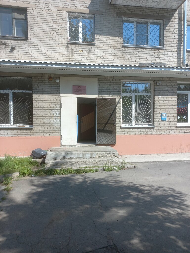 الغابات Первомайское лесничество ، نوفوسيبيرسك، صورة