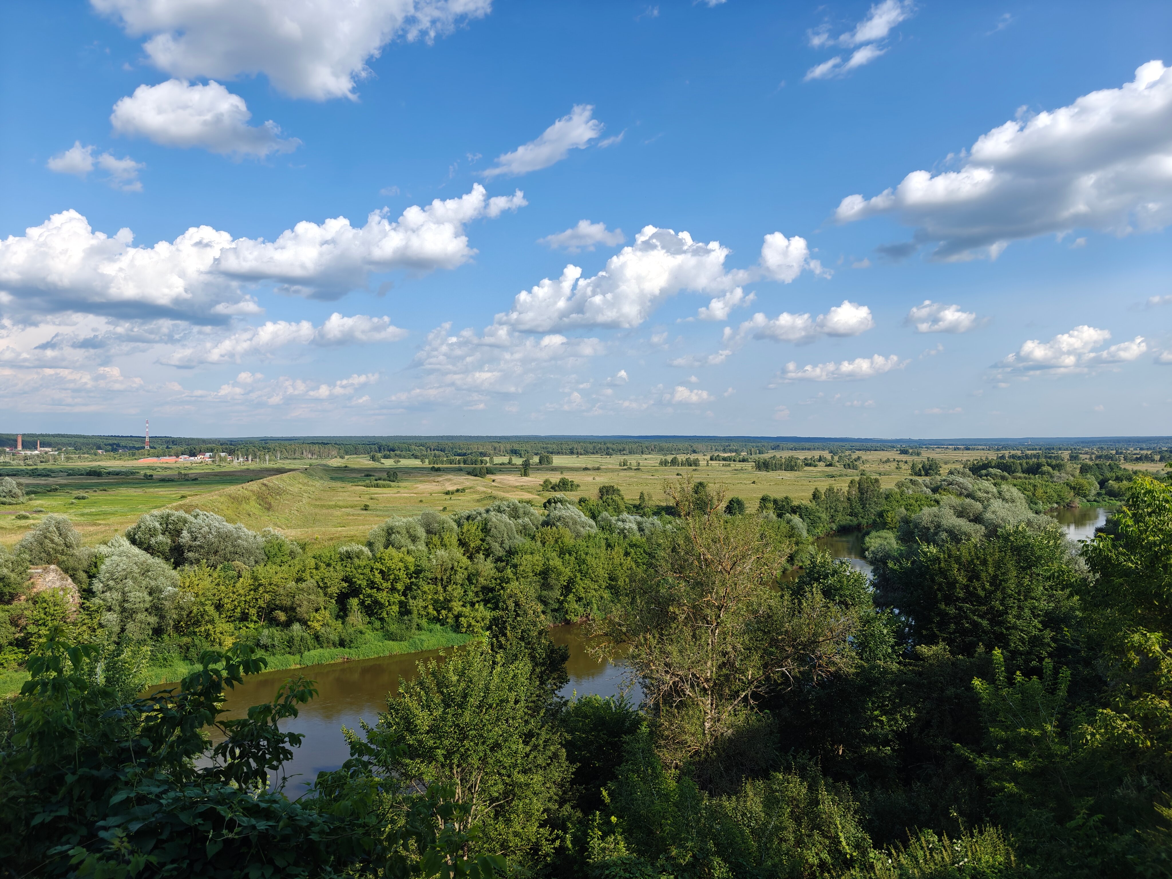 Фото Снегирь