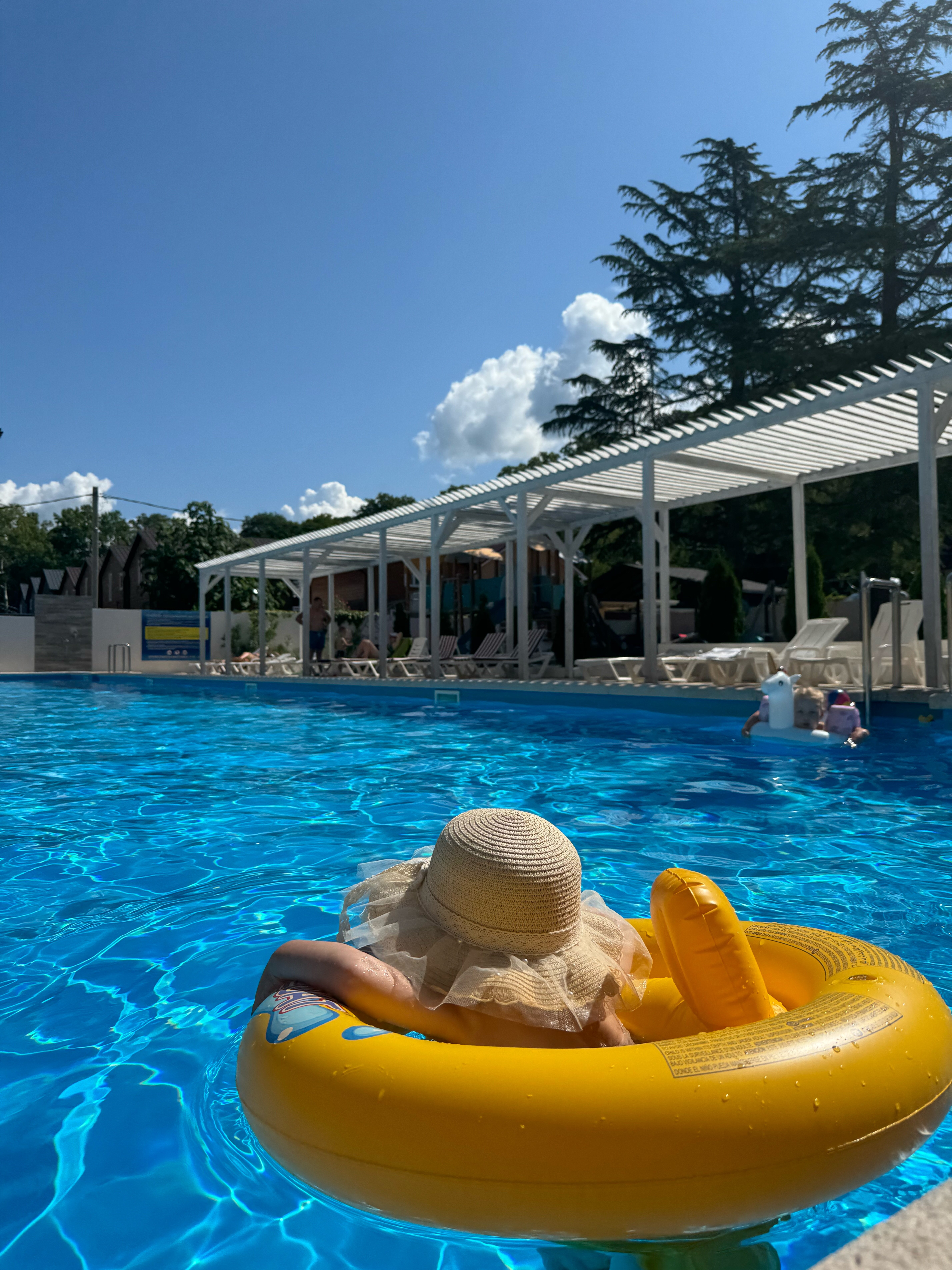 Фото Аммонит