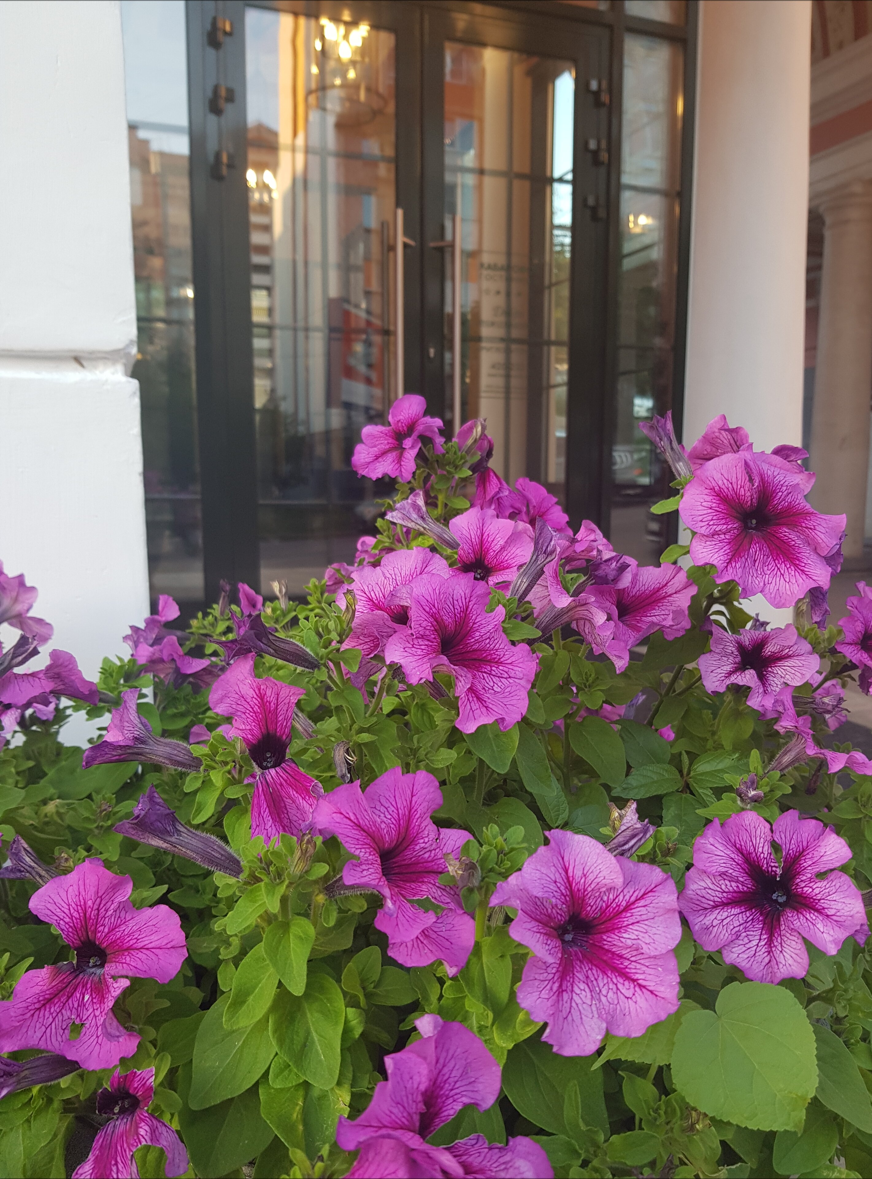 Фото Гостиница Хабаровск