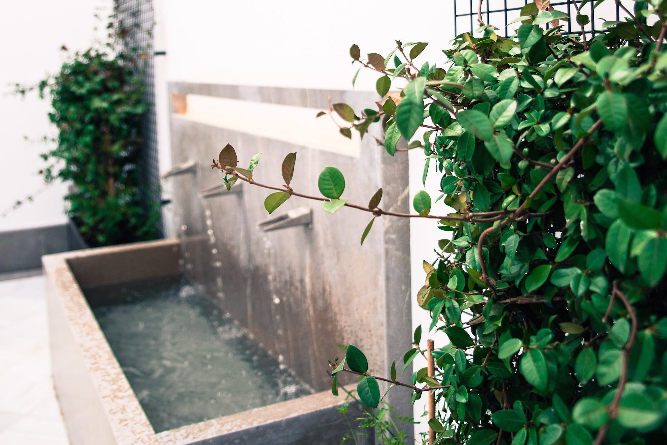 Фото Apartamentos Campo del Príncipe