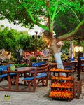 ZeytinAlti Extra Cafe Bar & Bistro (Antalya, Serik, Belek Mah., 47. Sok., 18), bar, pub