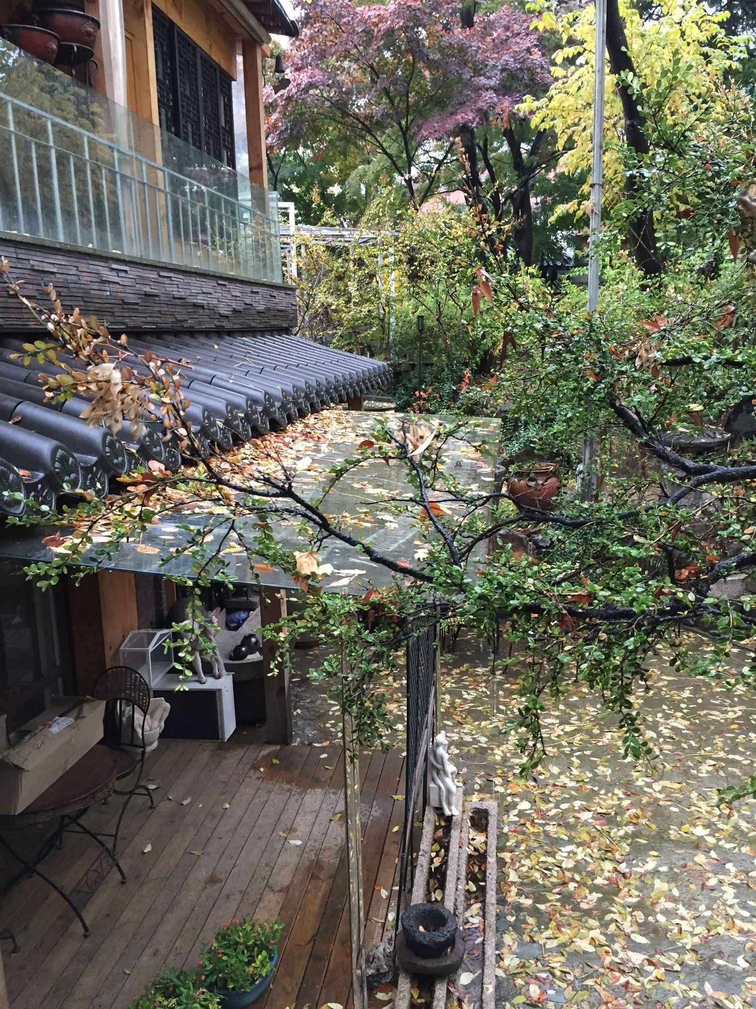 Фото Jiwoljang Guest House