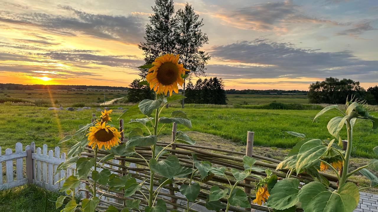 Фото Проломовка