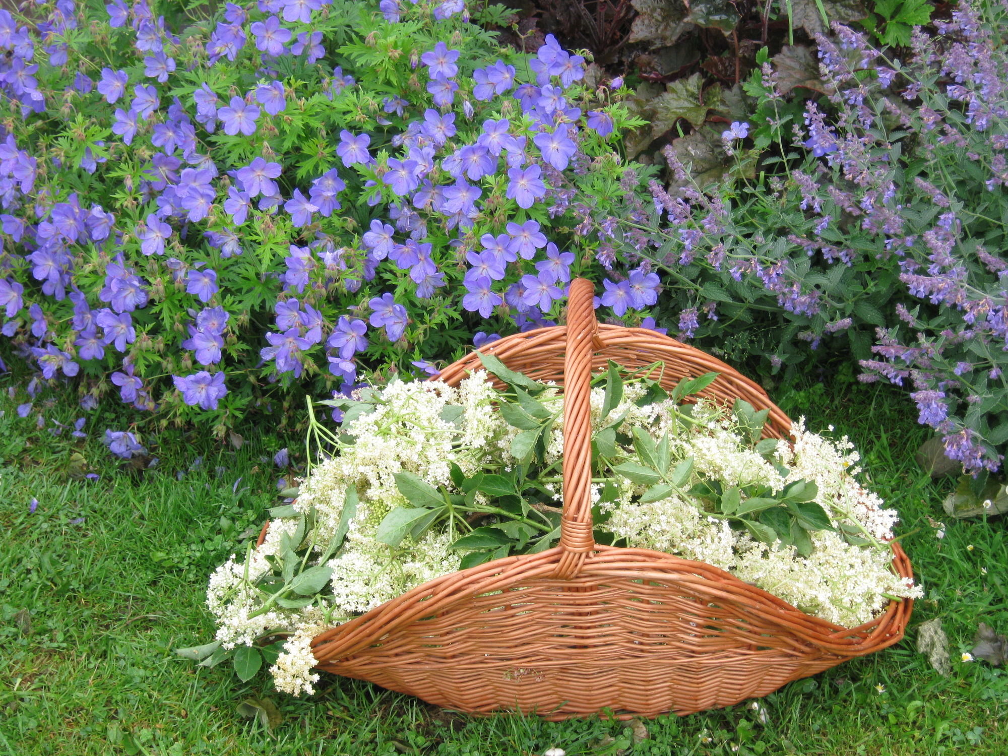 Фото Hollamoor Farm B&b