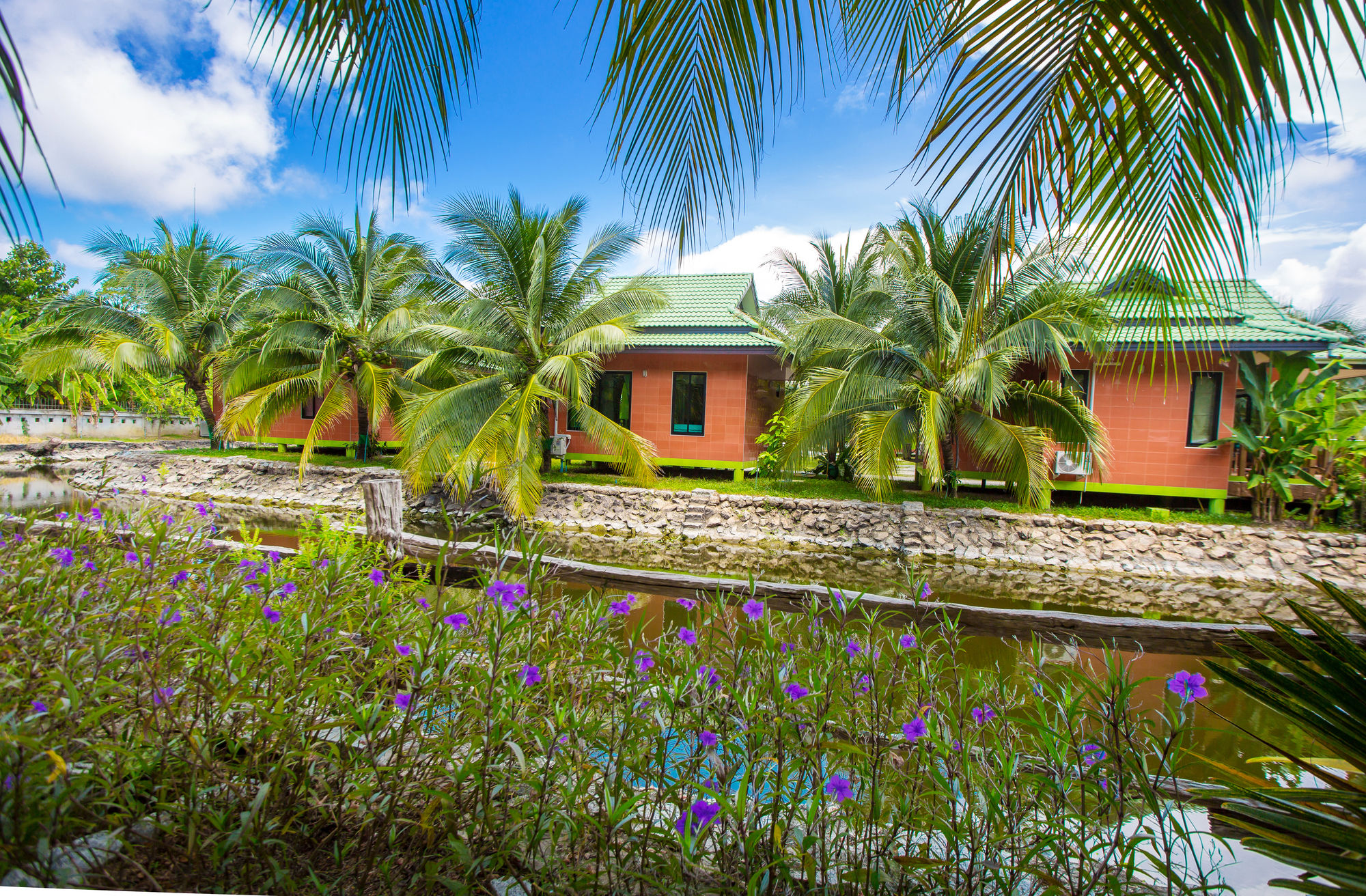 Фото Coconut Resort