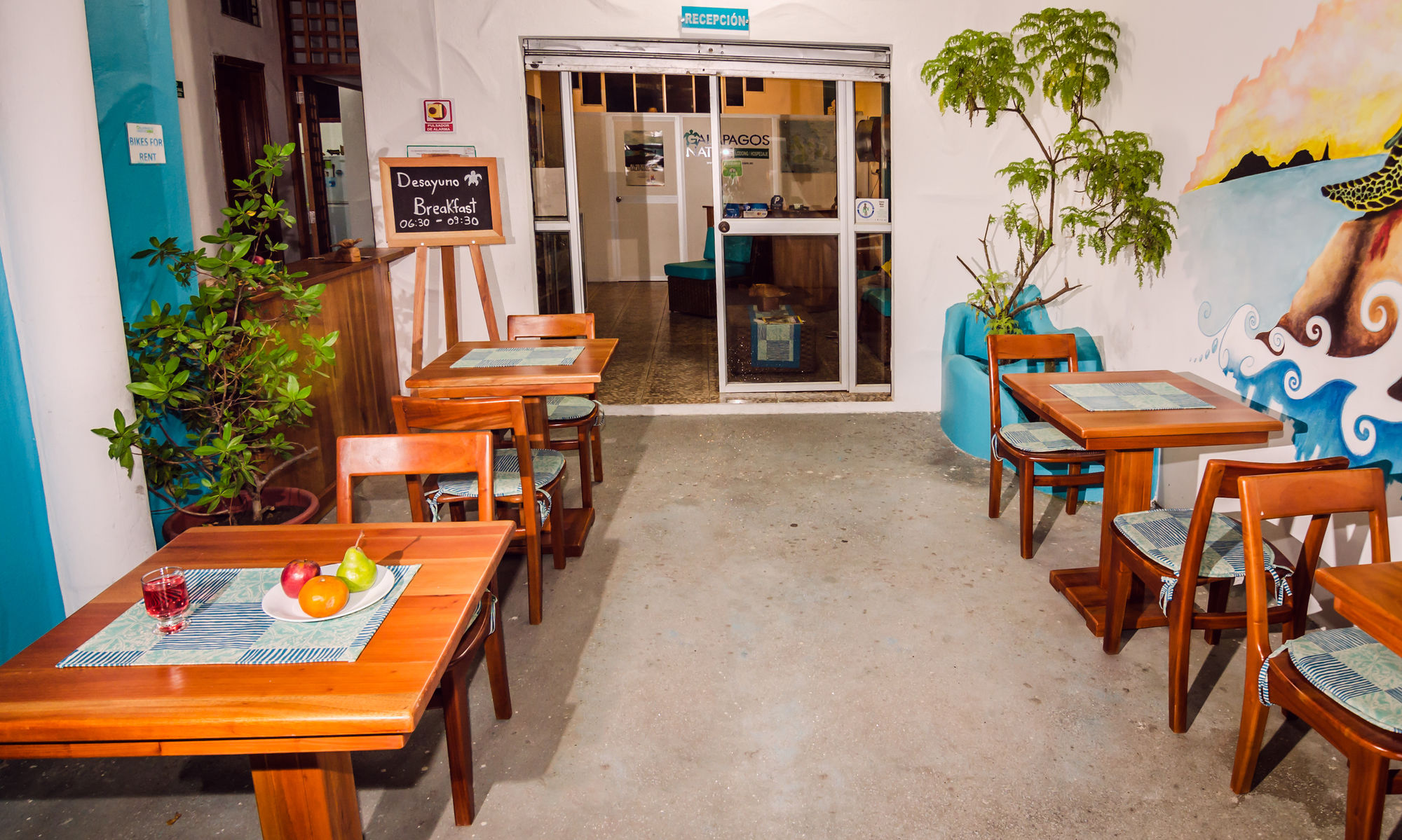 Фото Galapagos Native