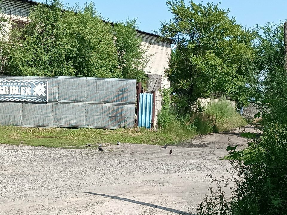 Fodder and feed additives Амурские корма, Blagoveshchensk, photo