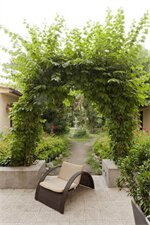 Фото Hotel Novecento