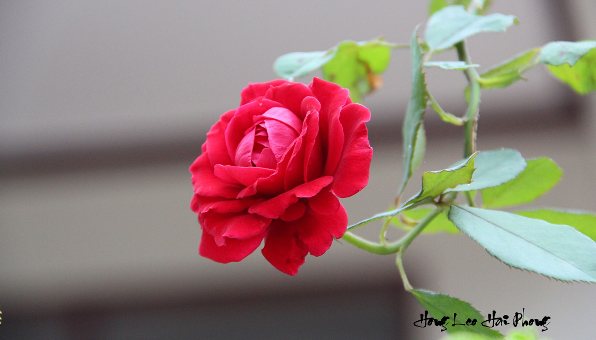 Фото Sa Pa Venus