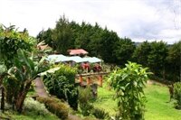 Фото Hotel Villa Zurquí