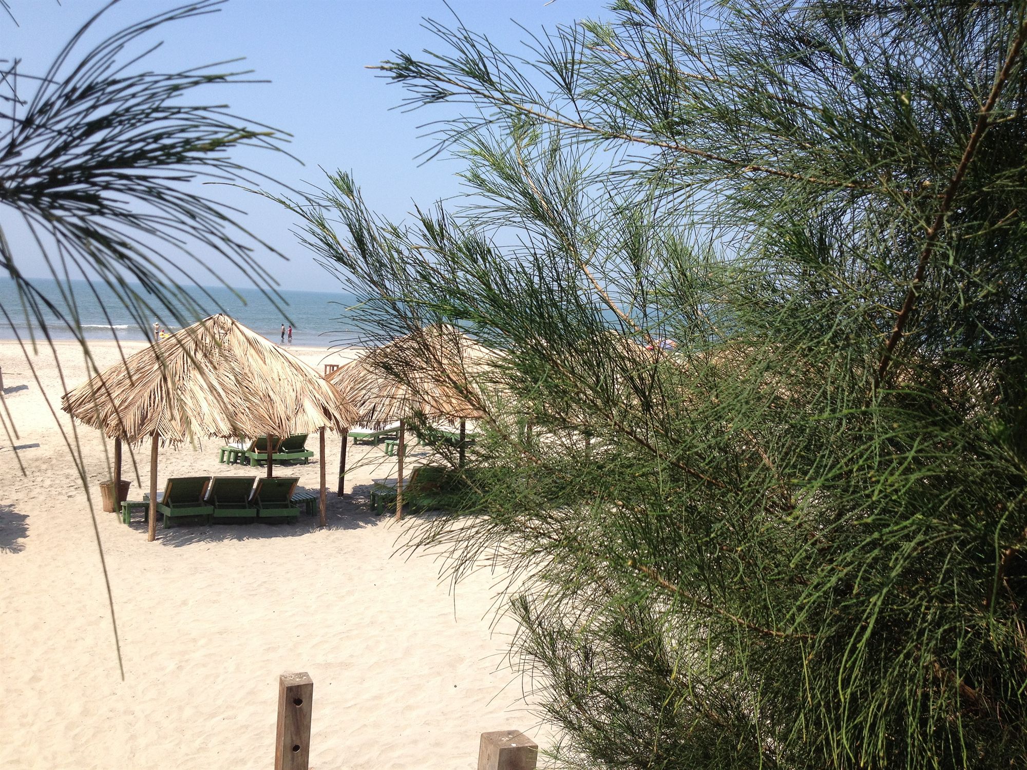 Фото Eco Woods Village