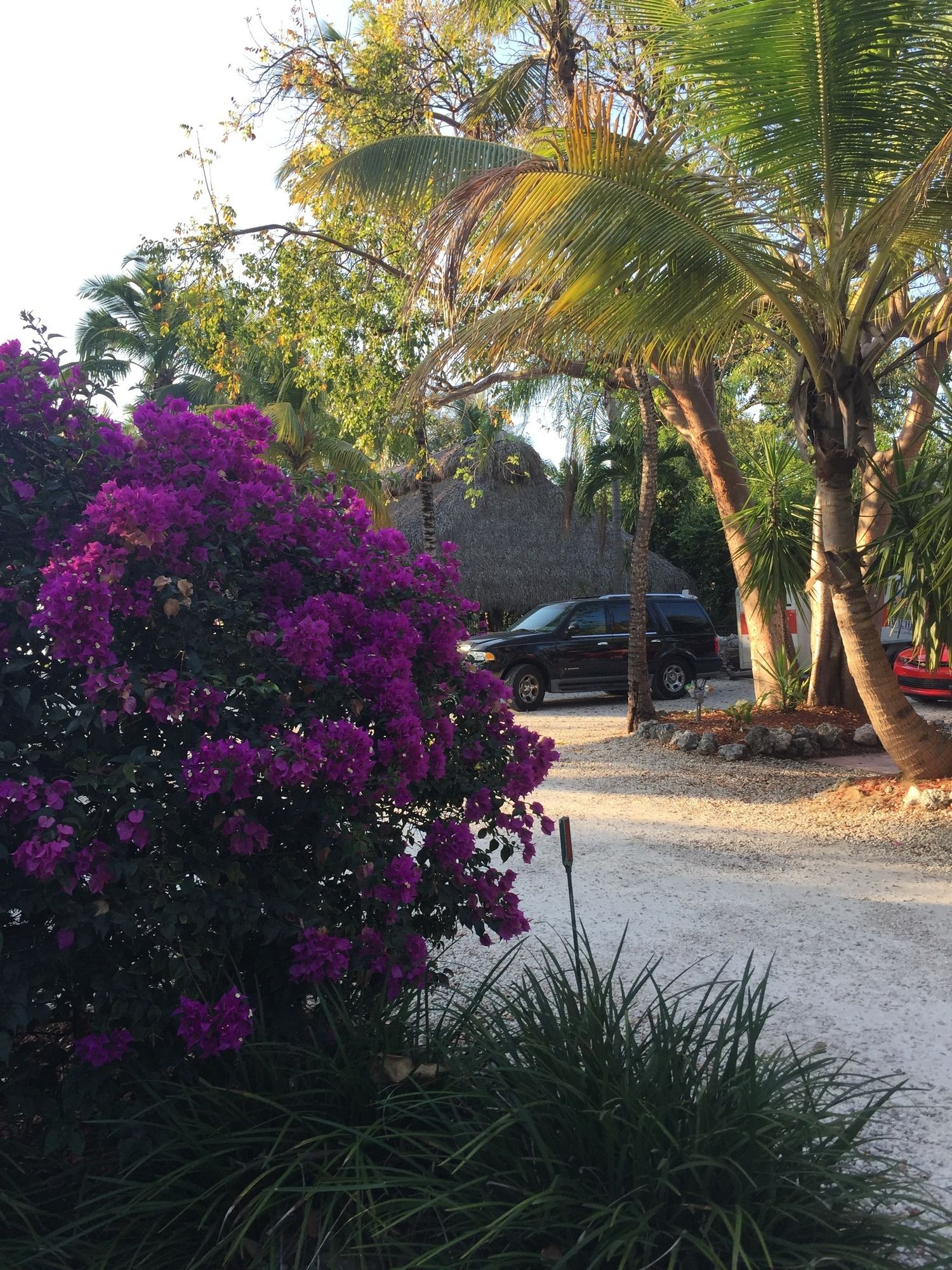 Фото The Pelican Key Largo Cottages