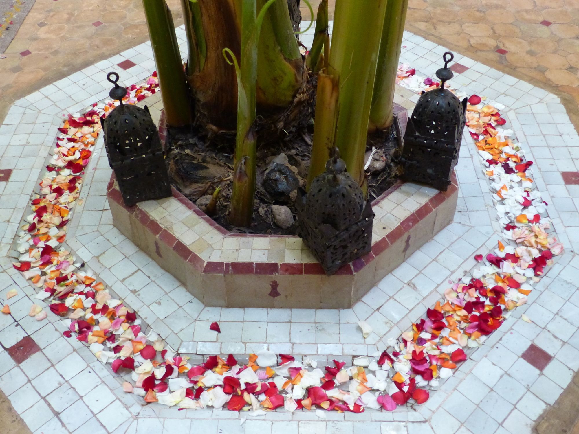 Фото Riad Marhbabikoum