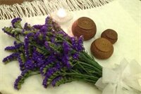 Фото Danly Hotel