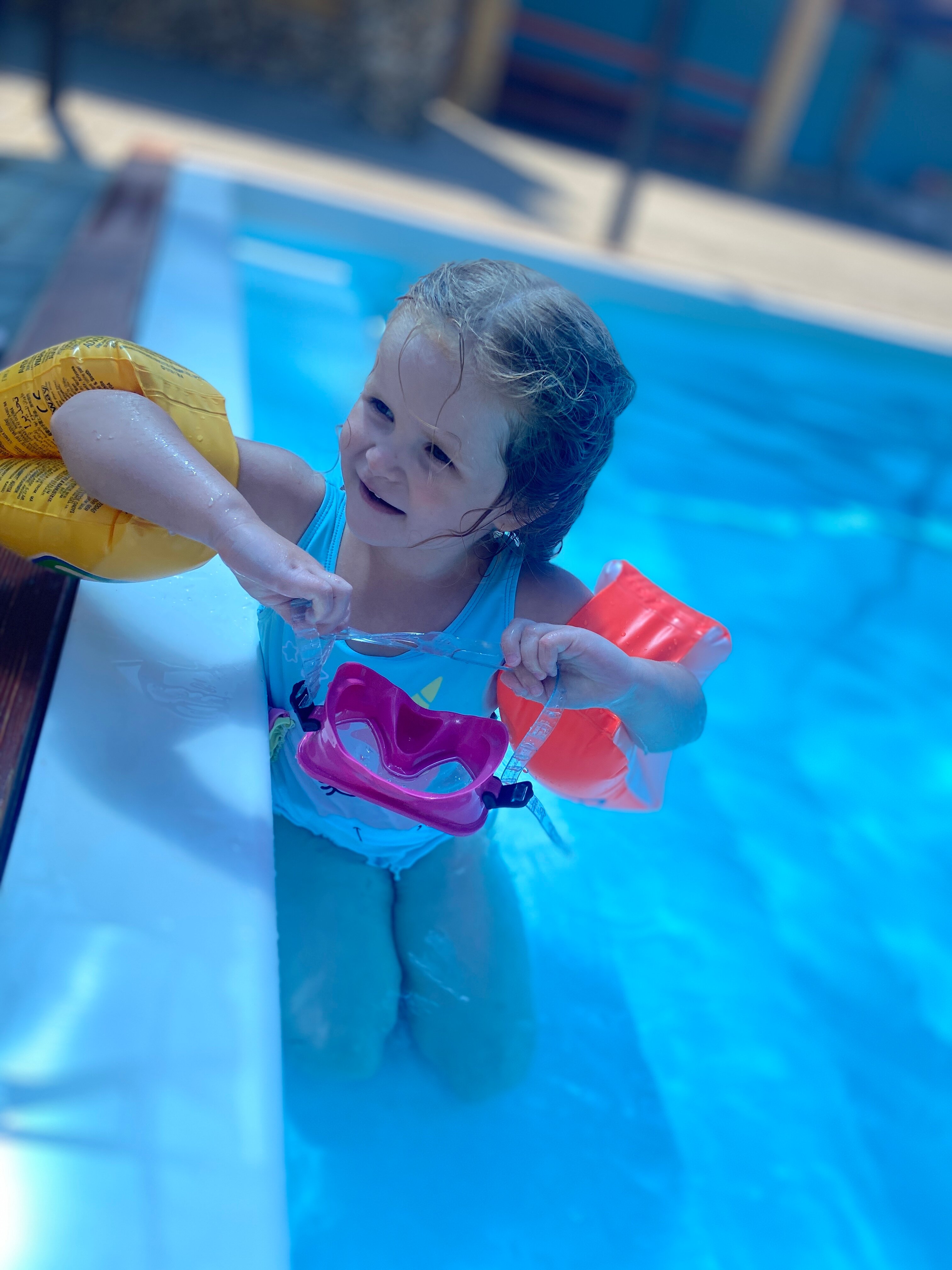 Фото Морская Звезда