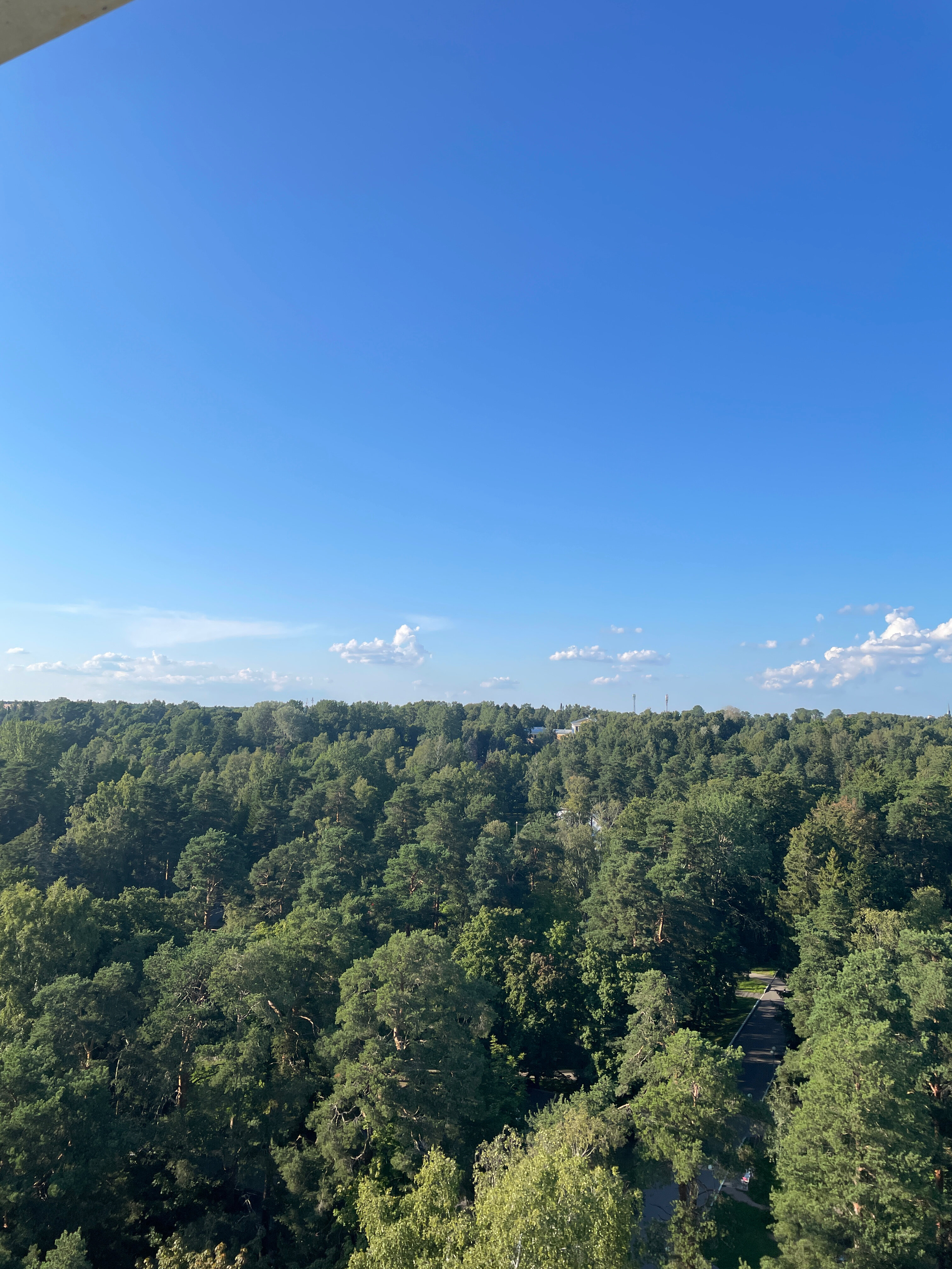 Фото Парк-отель