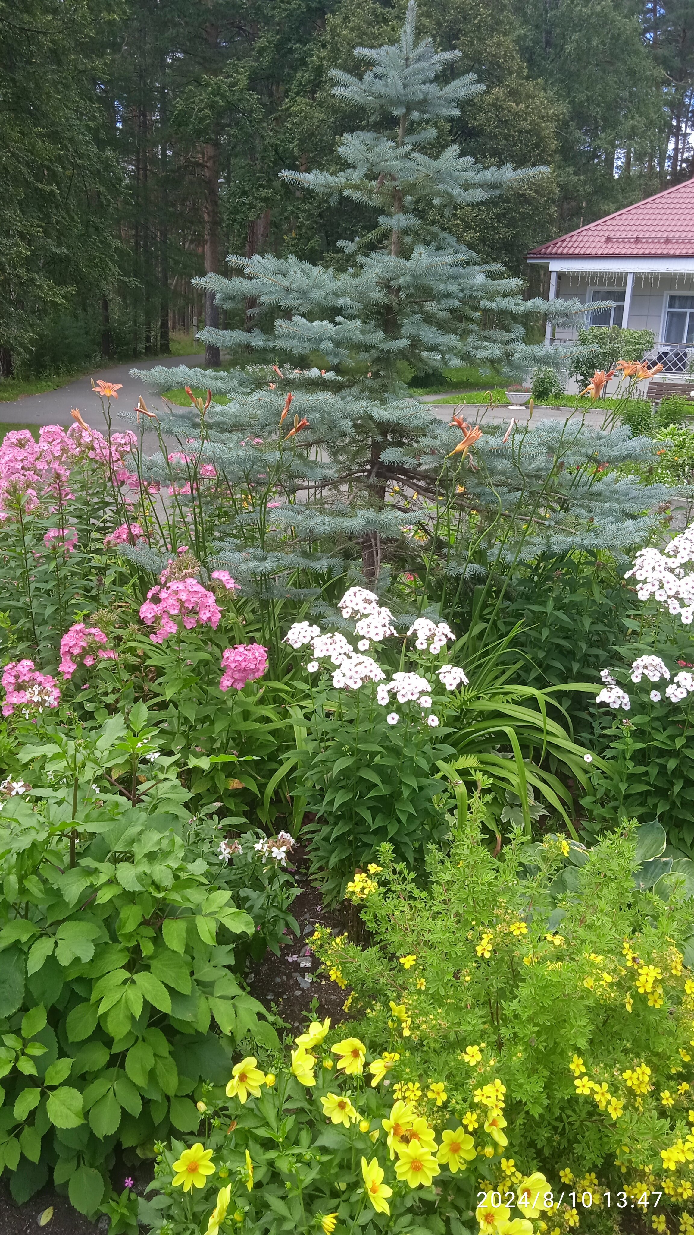 Фото Белый камень